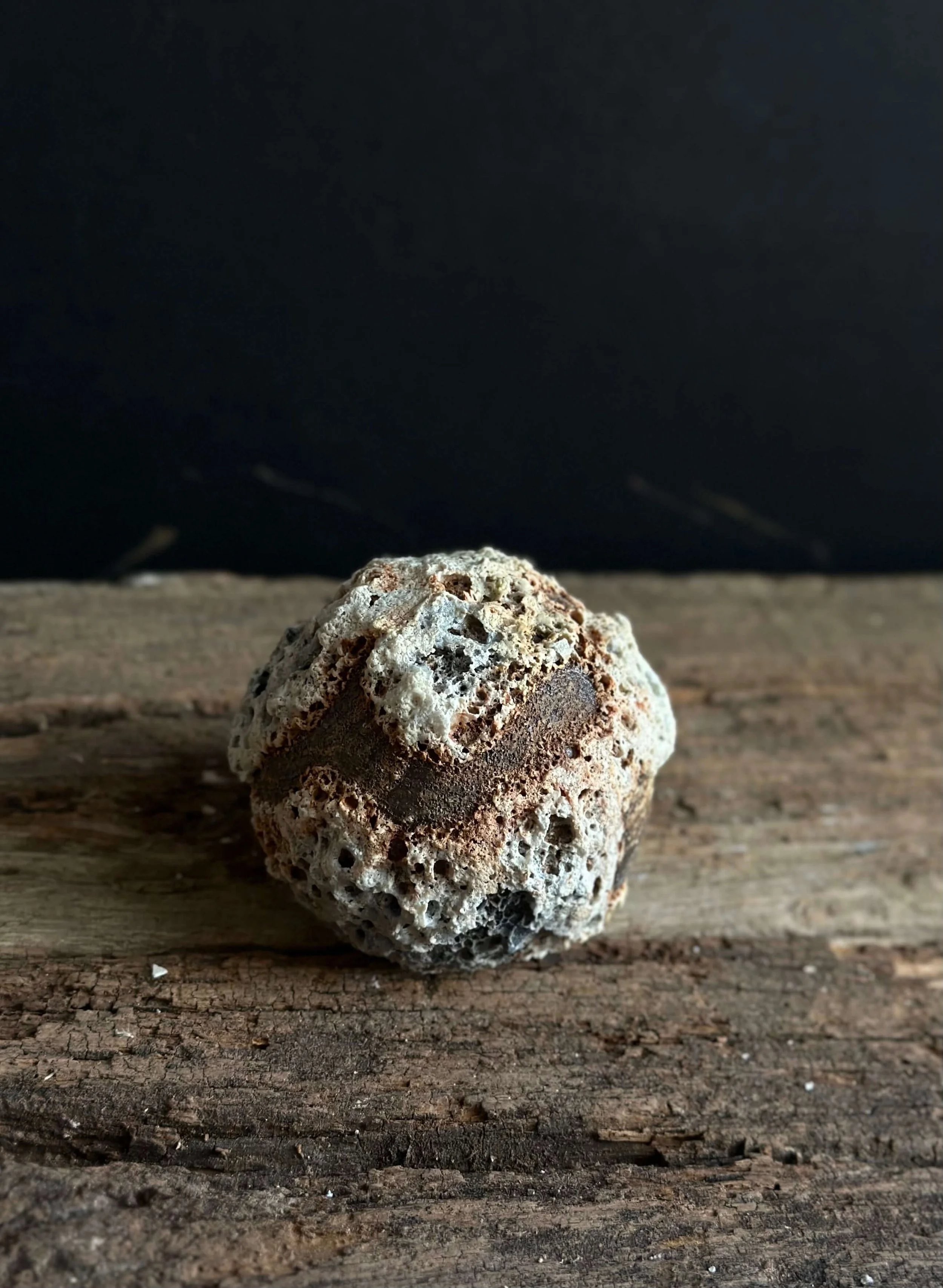 timeless interior.jpeg