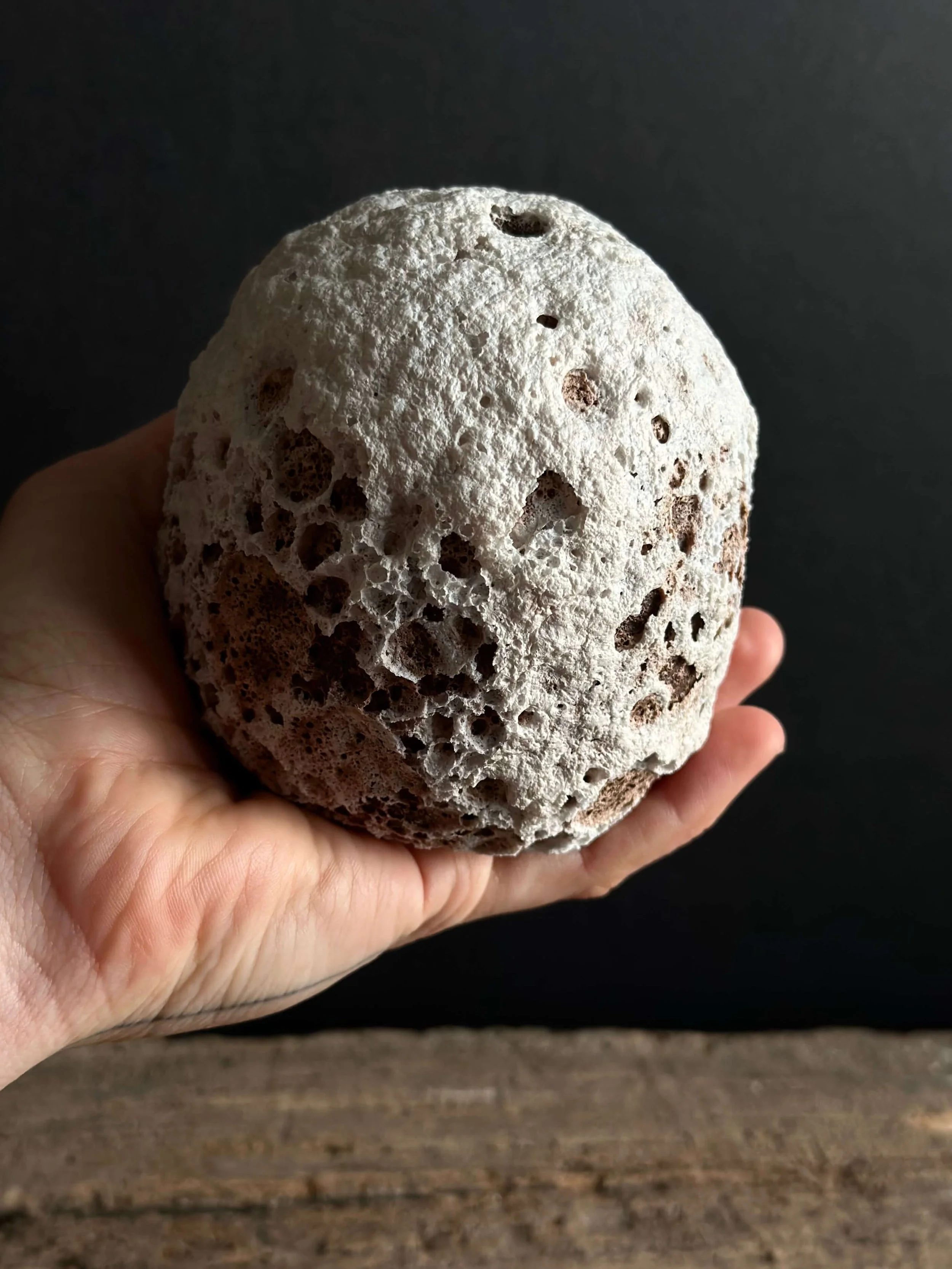 collectible ceramics for designers.jpeg