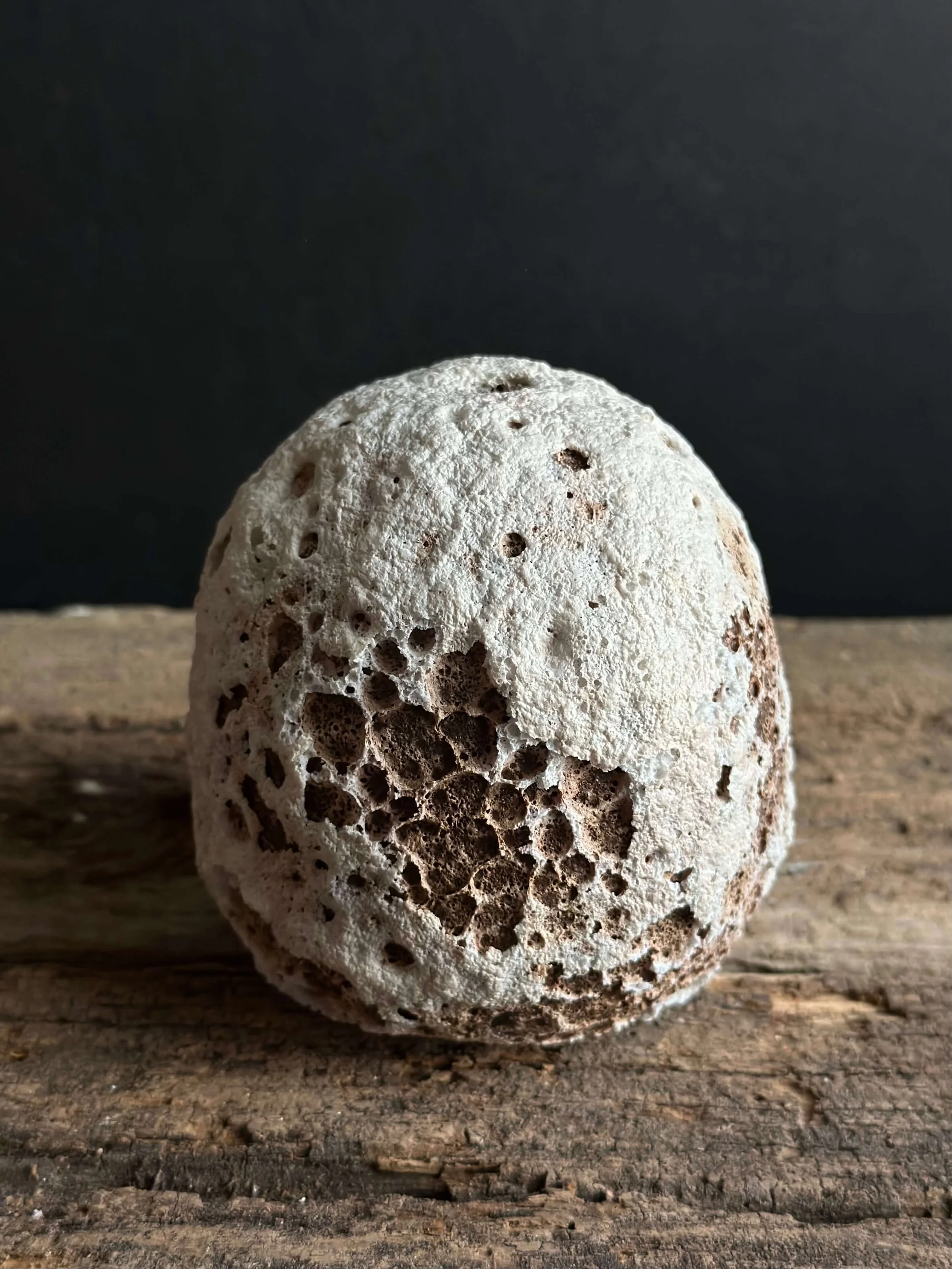 raw earthy textures.jpeg