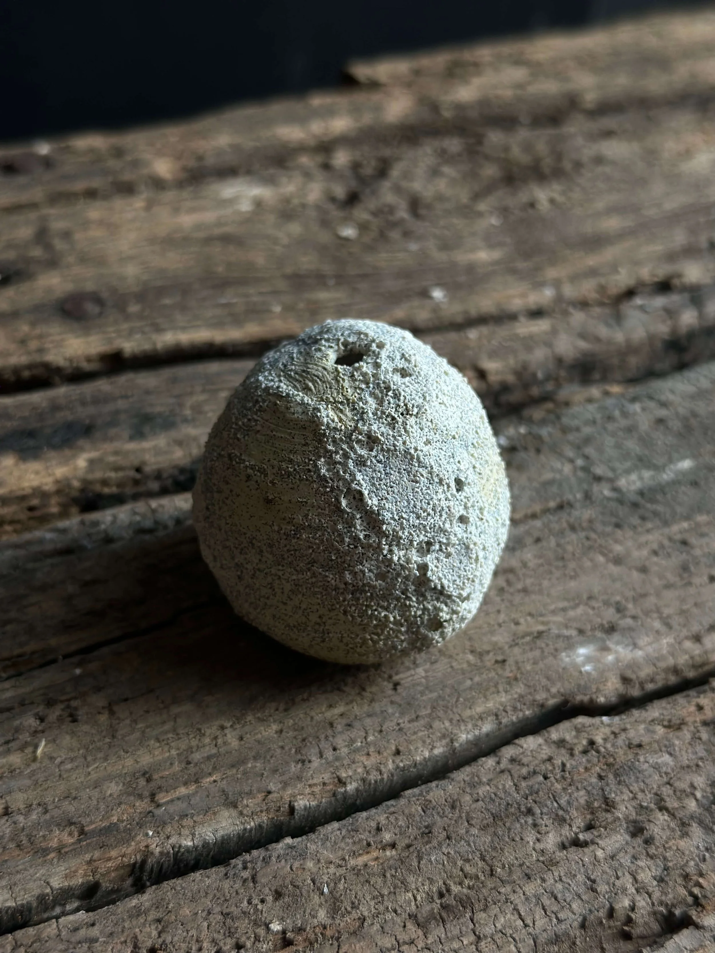 natural modern decor.jpeg