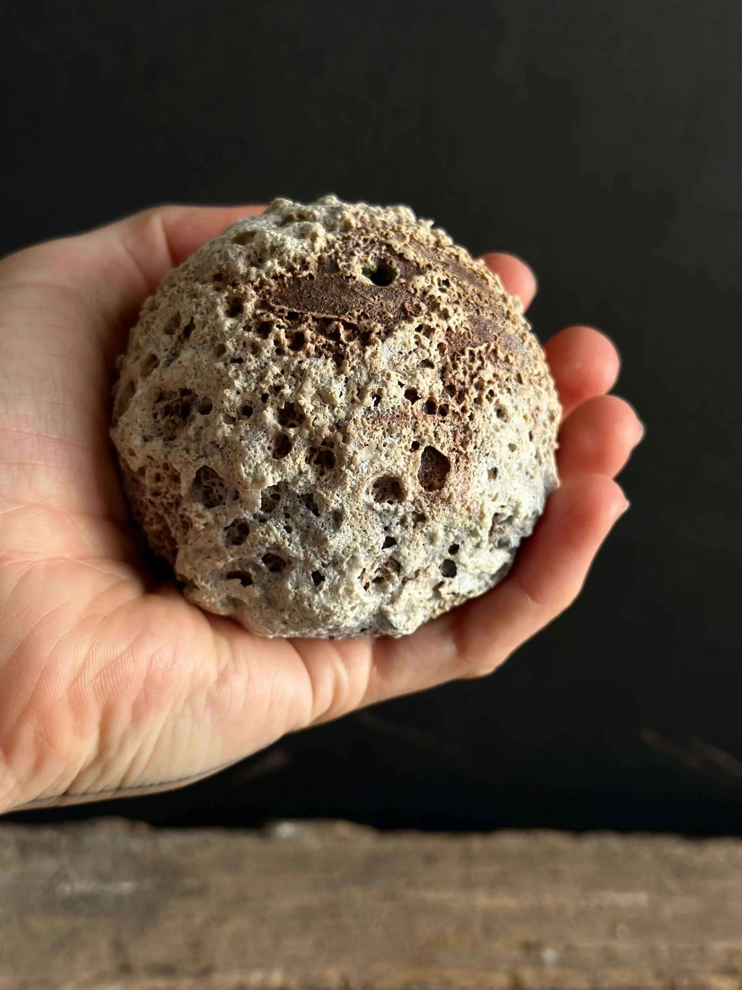 boho minimalist decor.jpeg