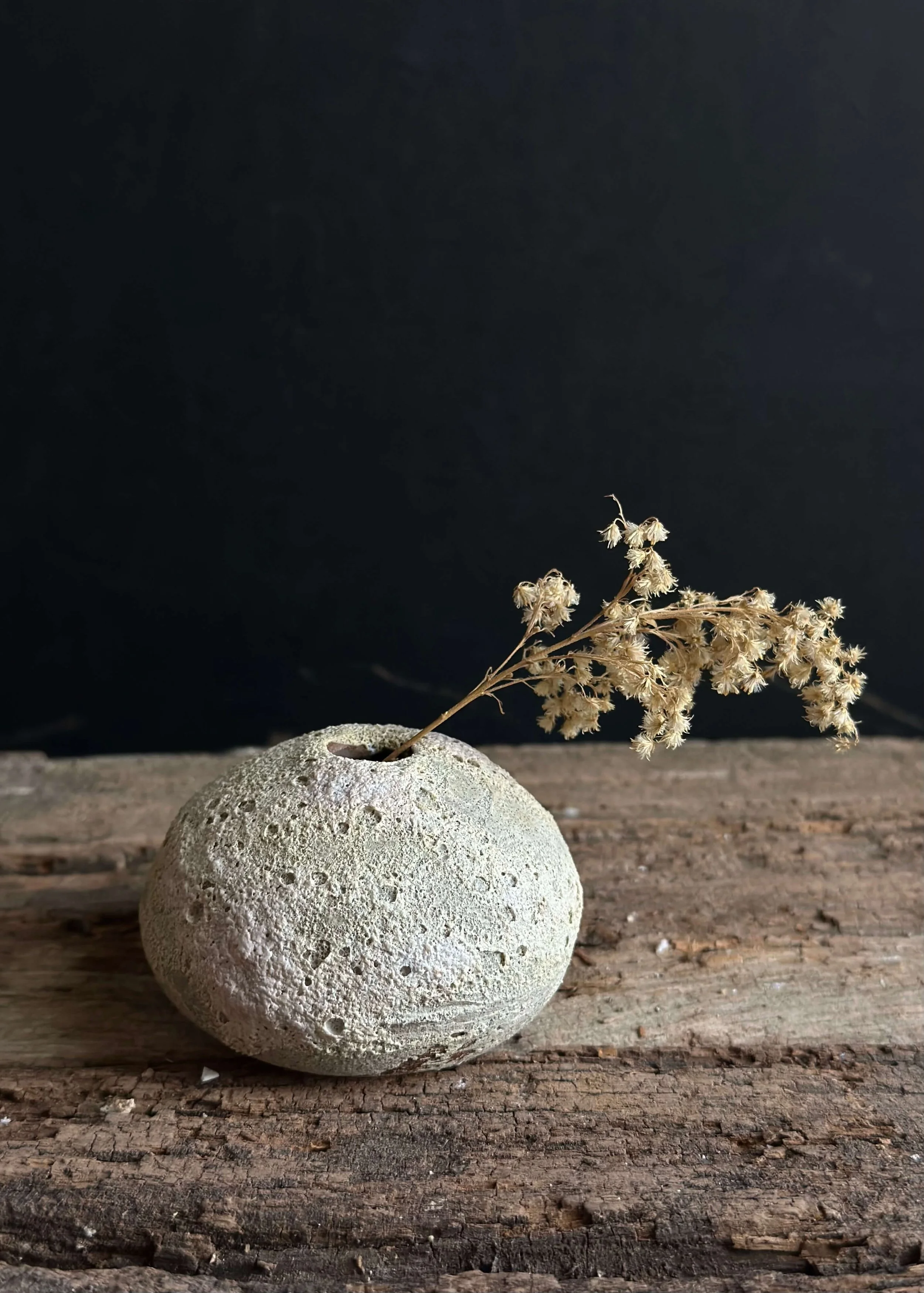 organic modern style.jpeg