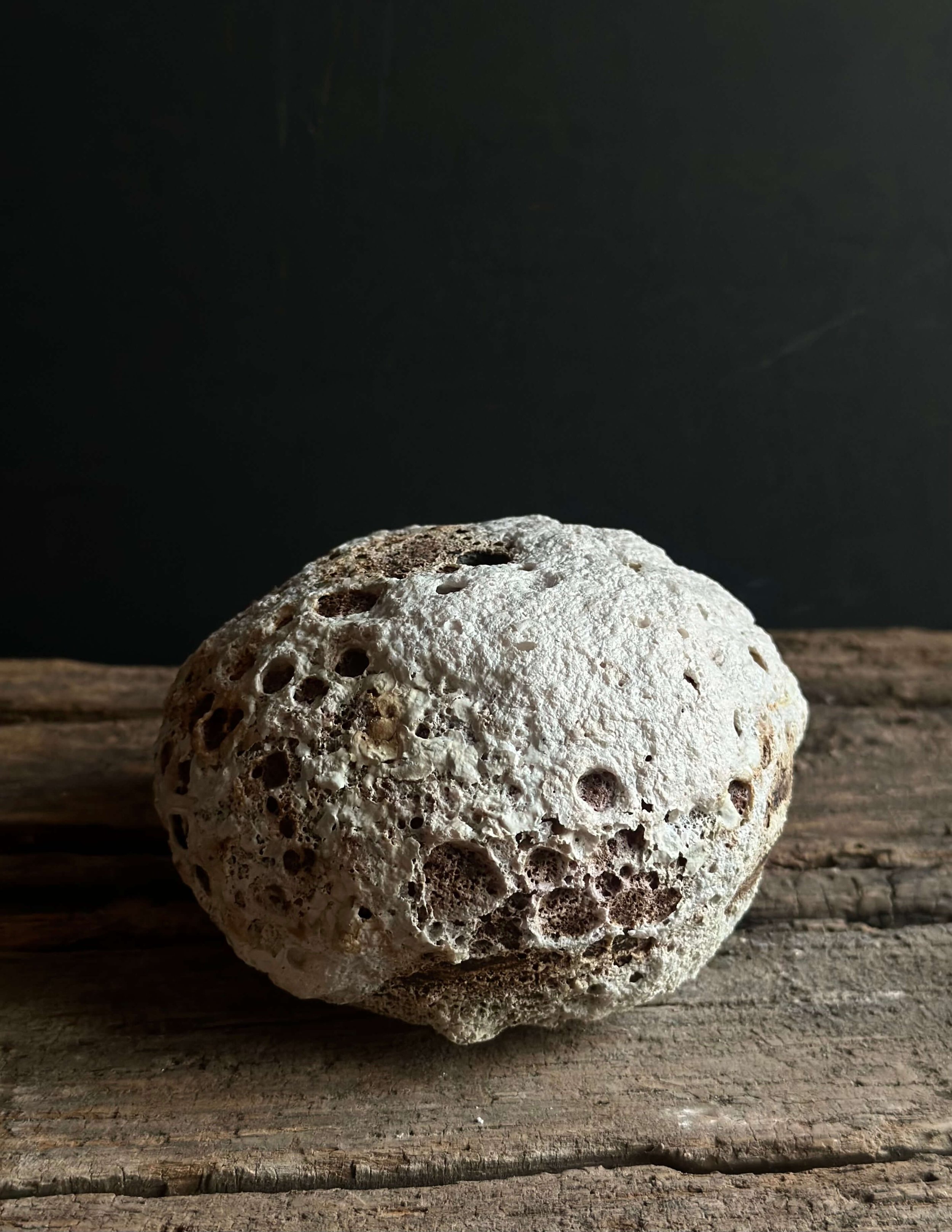 textured surface.jpeg