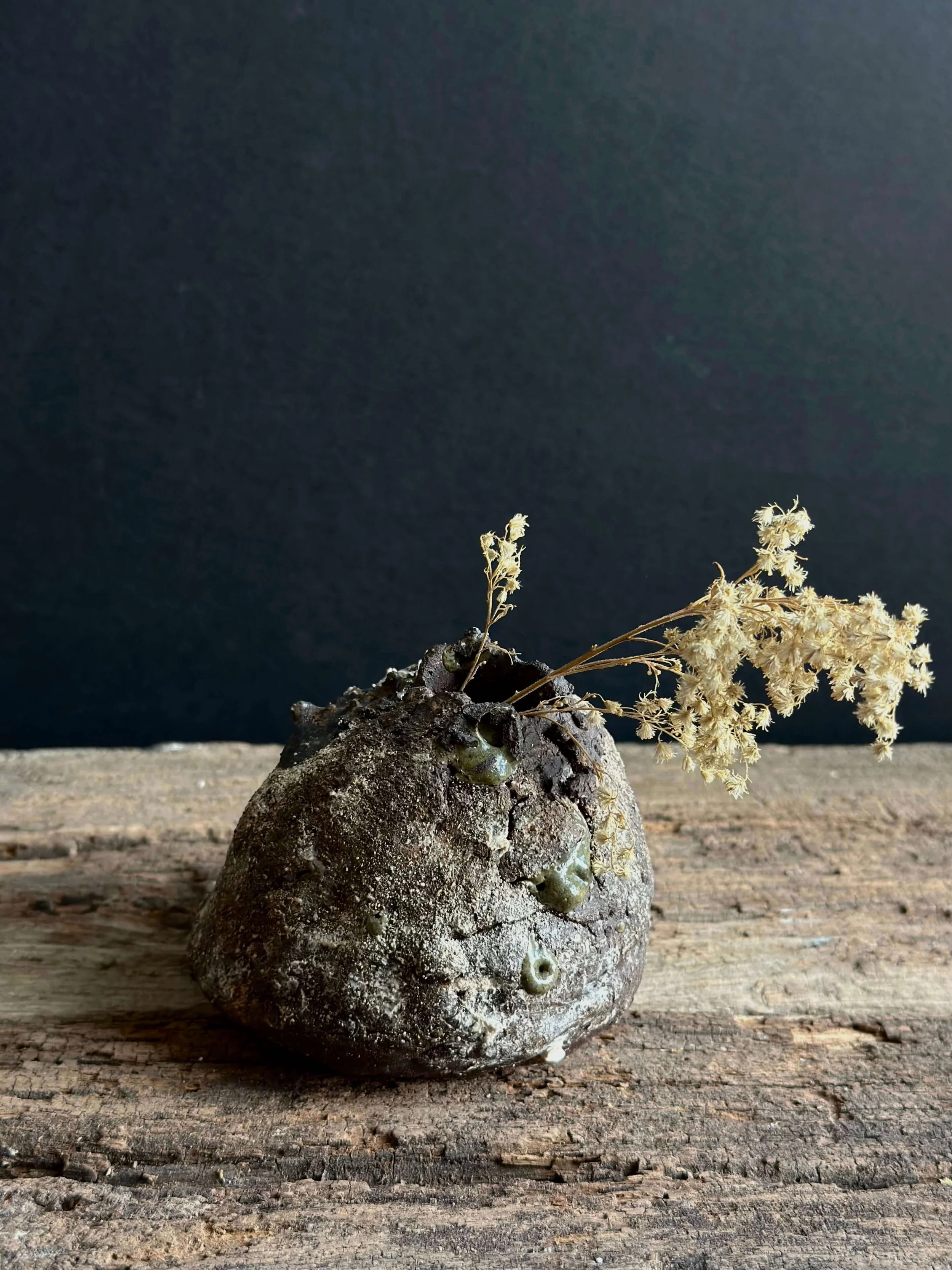 natural modern decor.jpeg