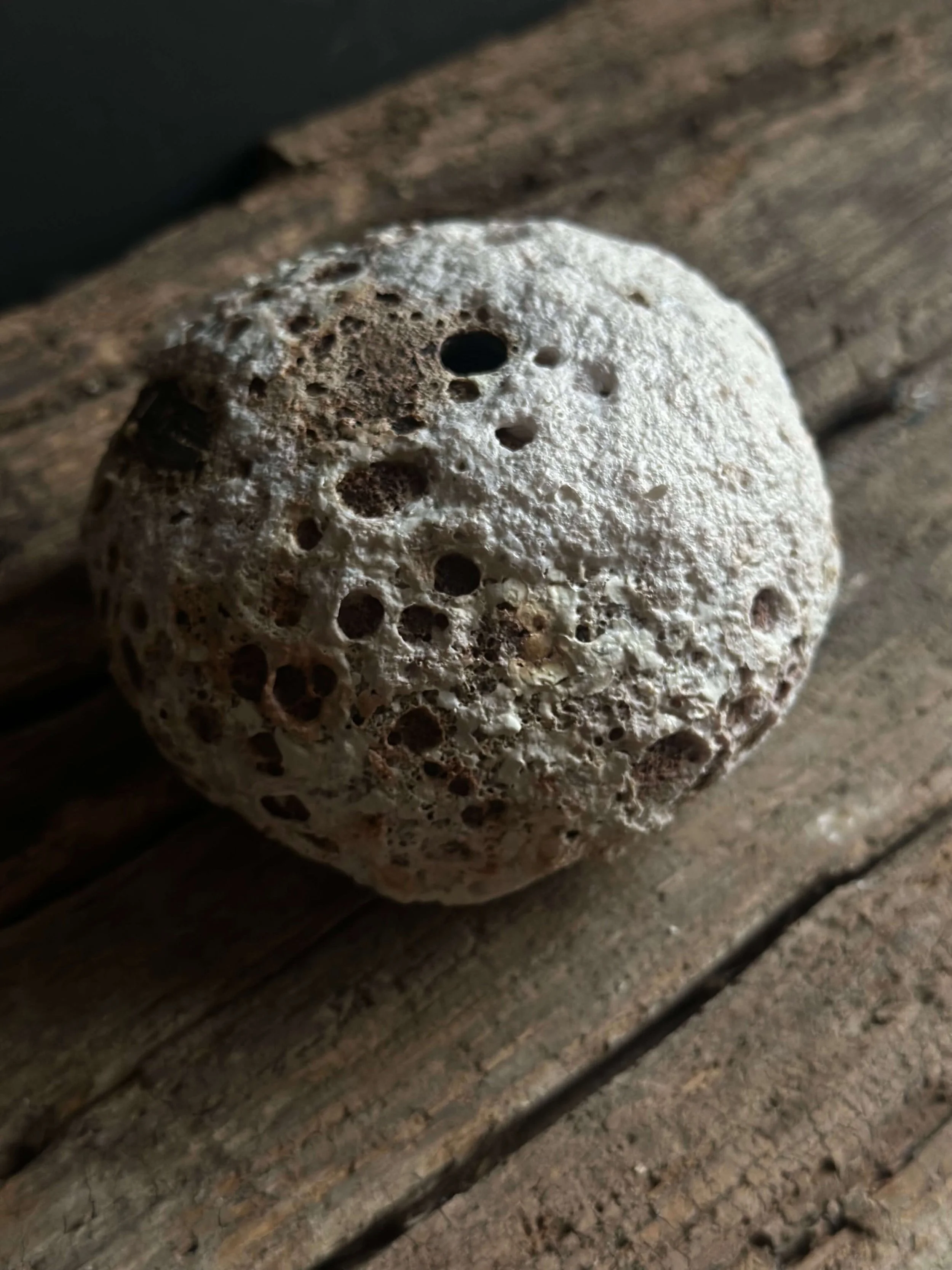 statement piece.jpeg