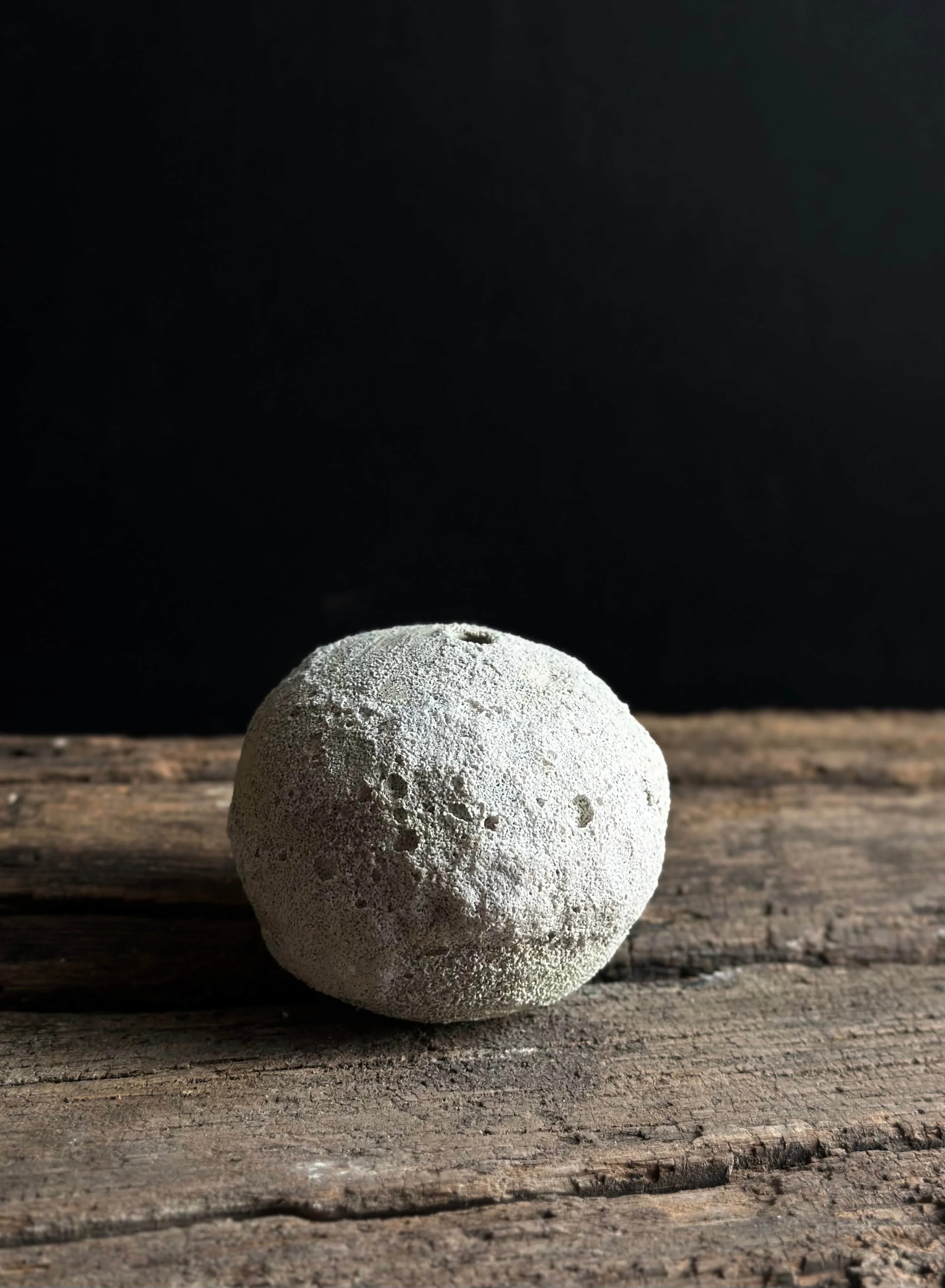 timeless organic design.jpeg