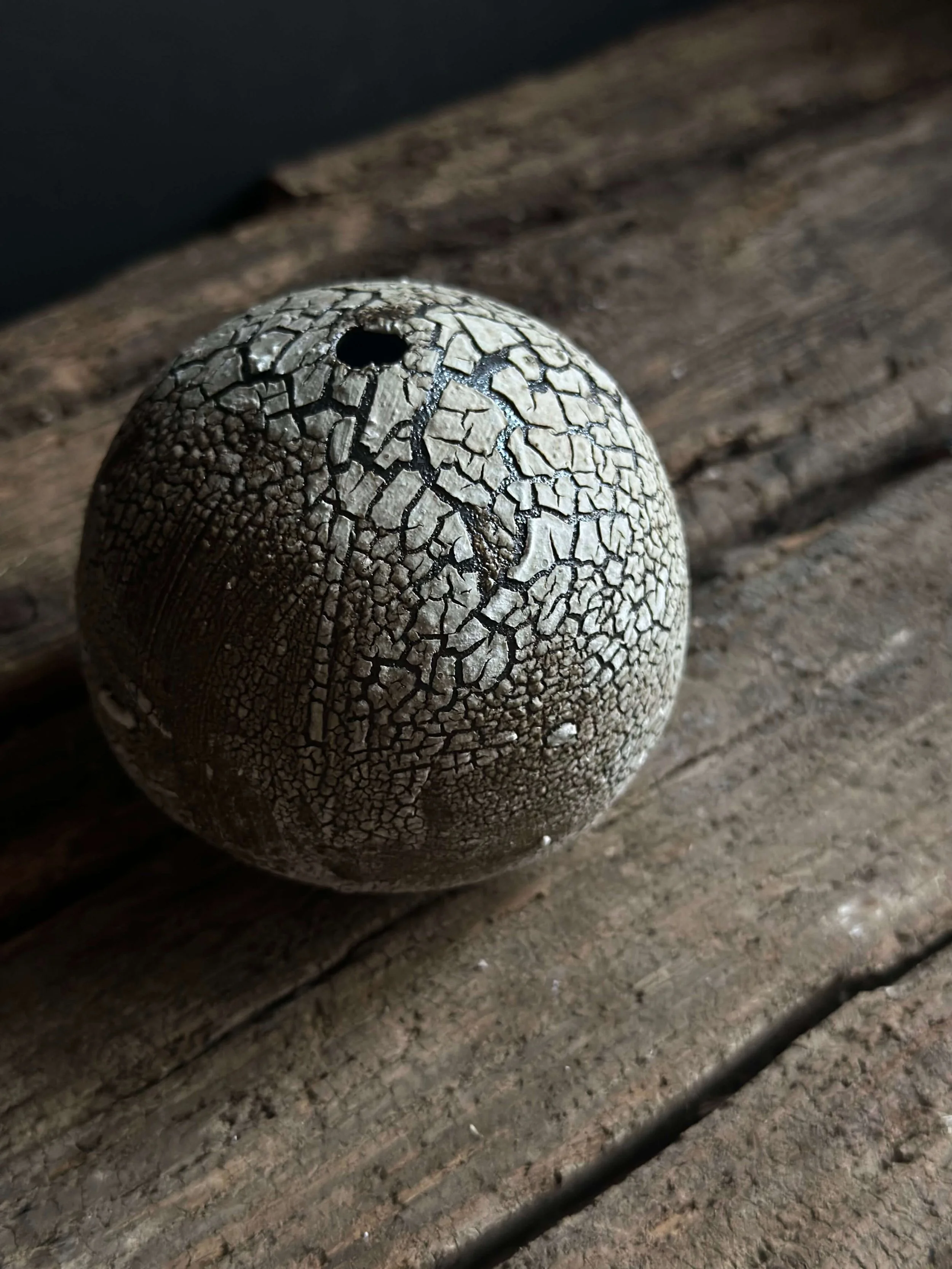 organic modern style.jpeg