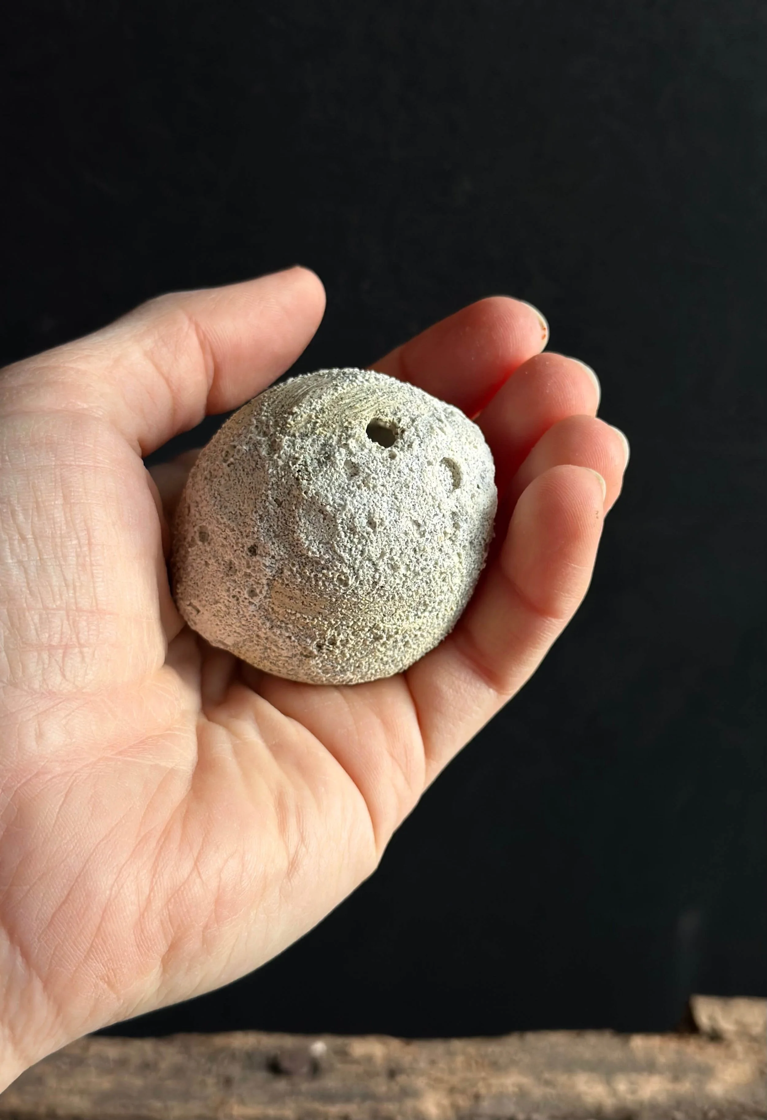 crafted in California.jpeg