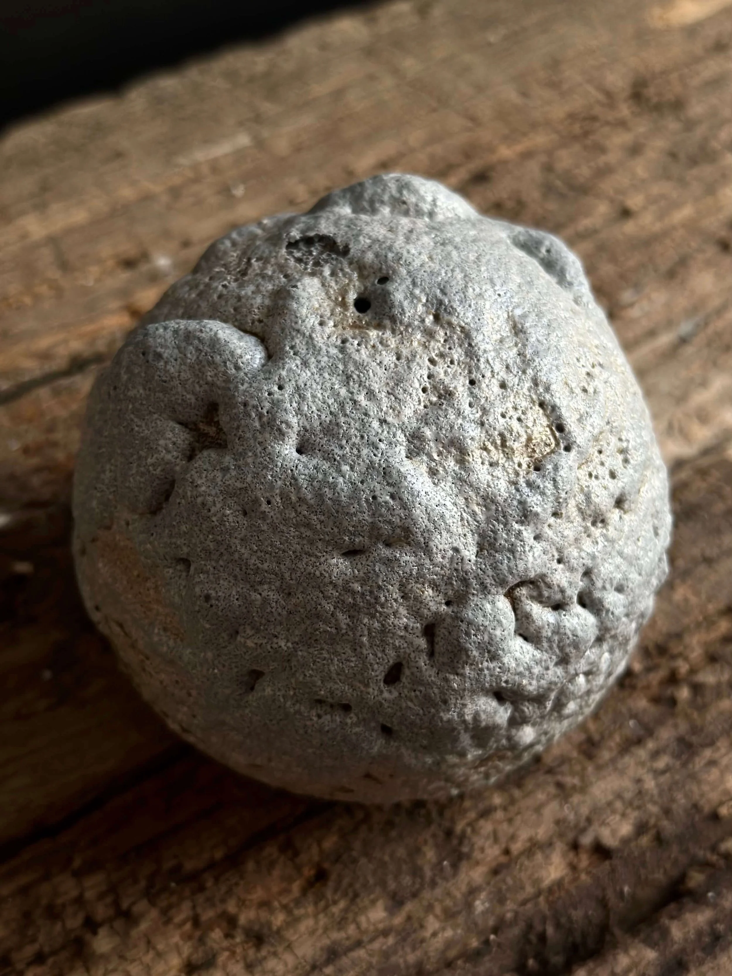 crafted in California.jpeg