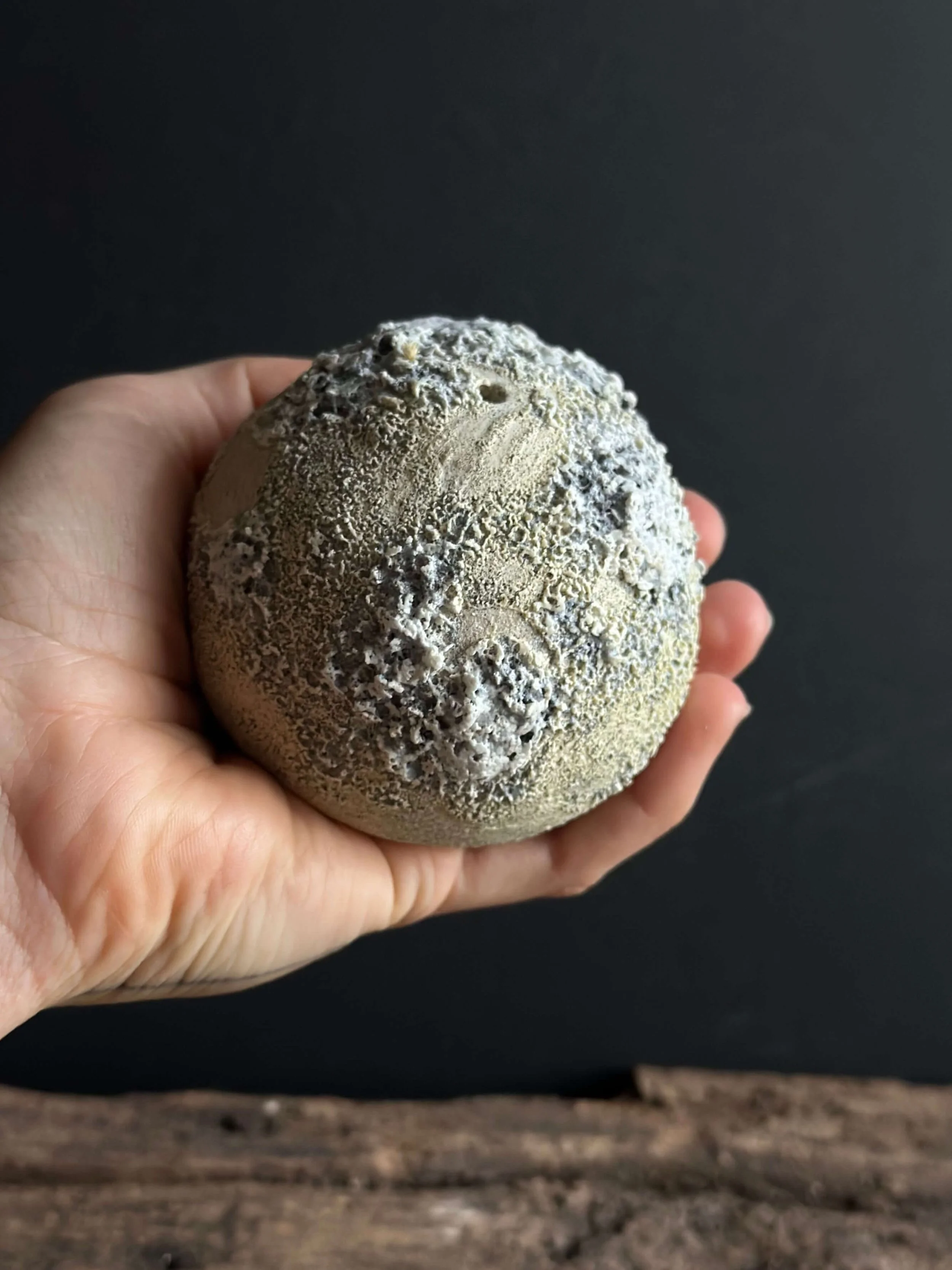 natural modern decor.jpeg