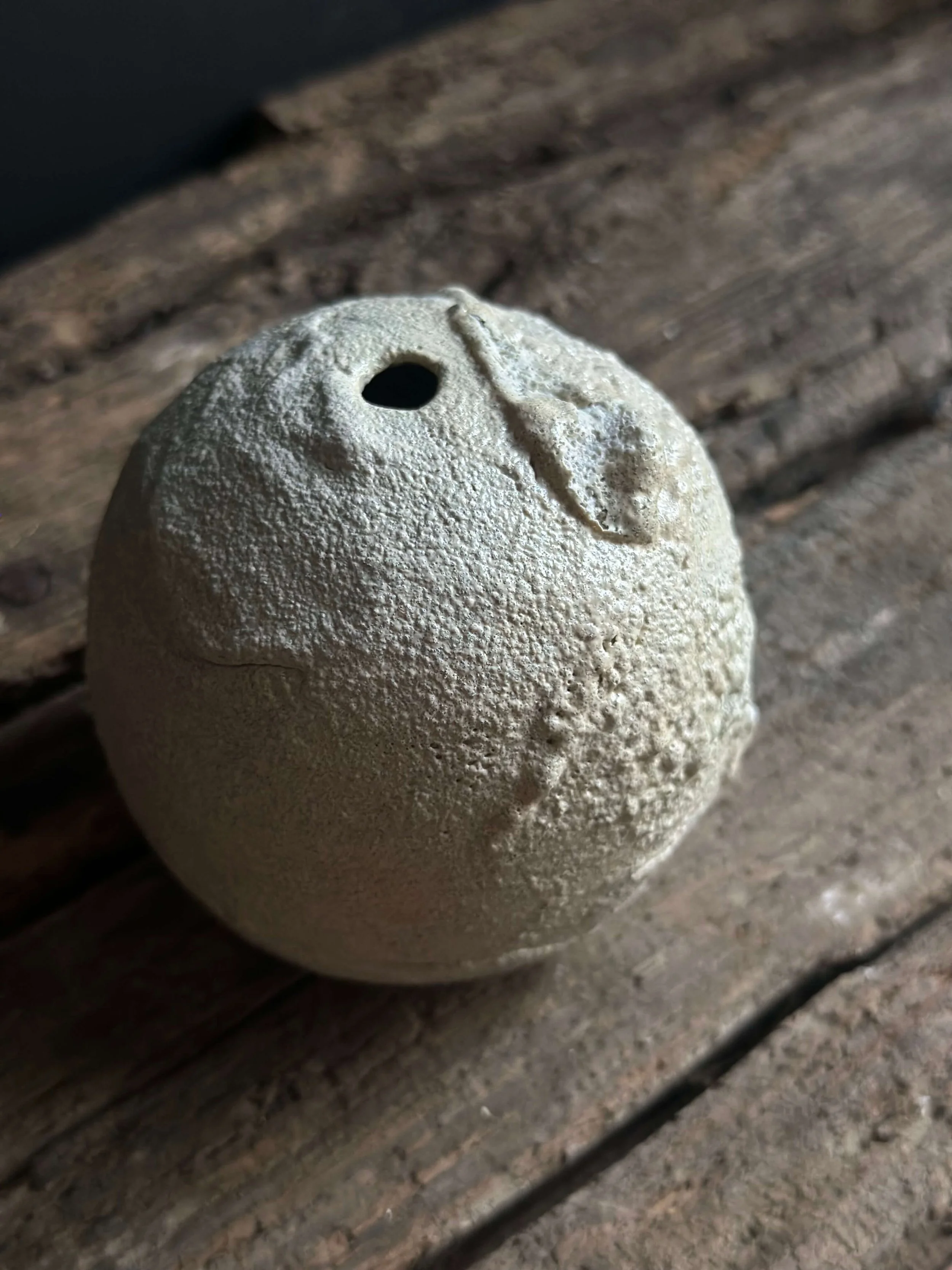 natural modern decor.jpeg