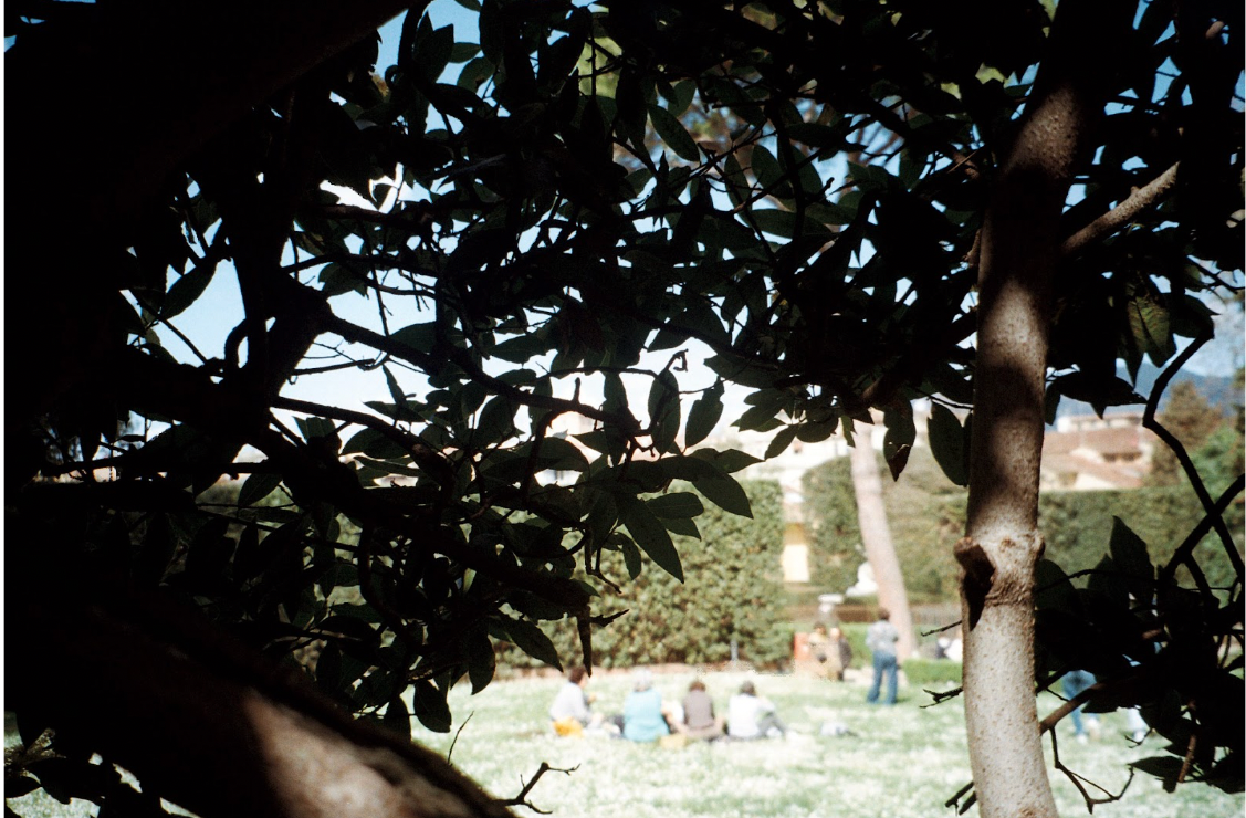 European Gardens as Third Spaces: A Photo Essay