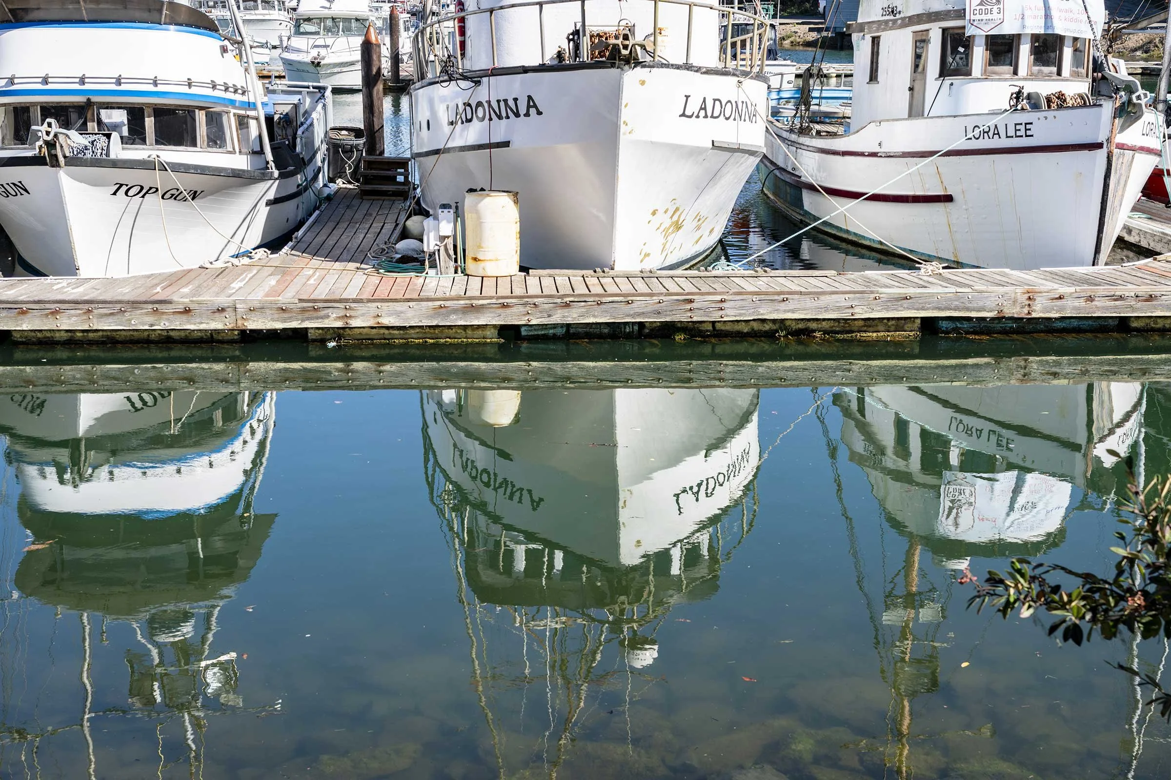 Picnic & Dock Walk with the Harbormaster
