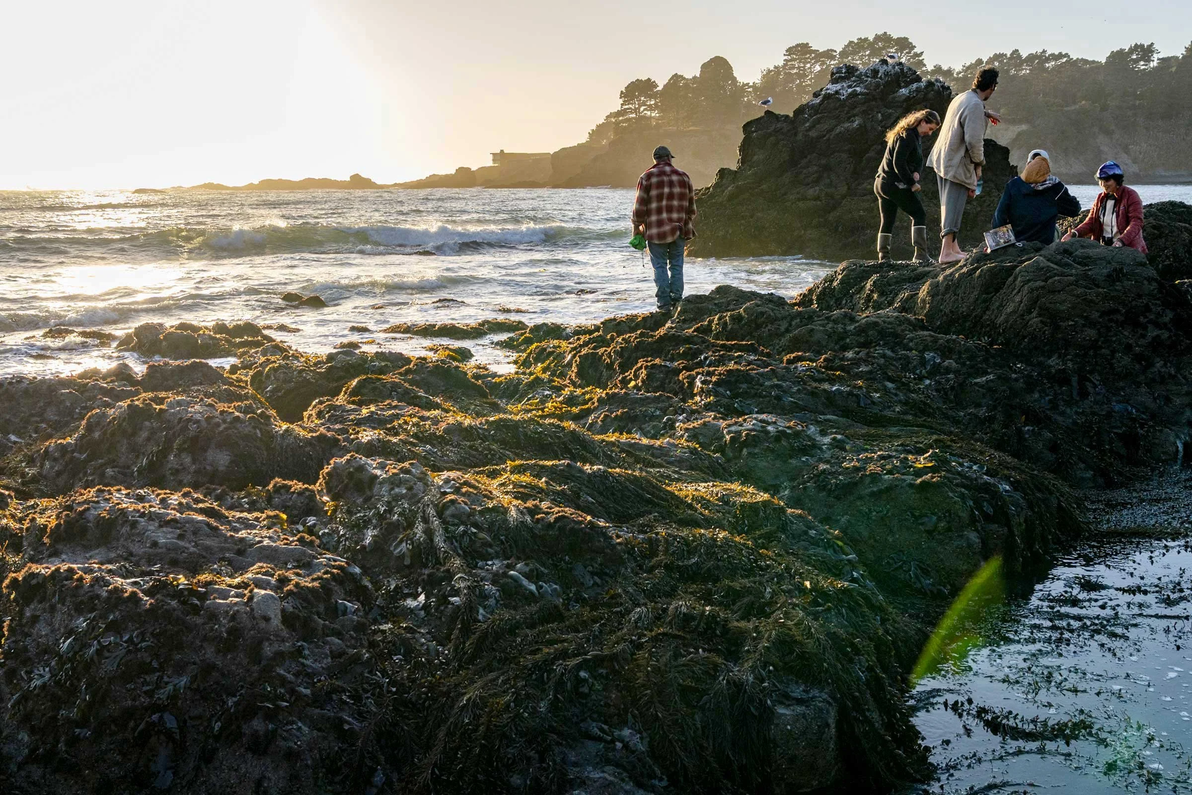 Beach-Sunset_Pat-Webster-33.jpg