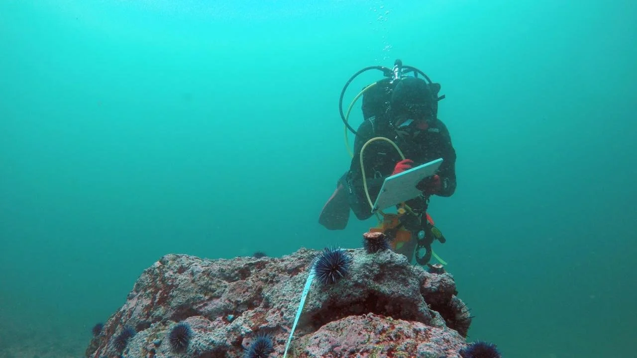 Kelp RISES Research Group Presentation