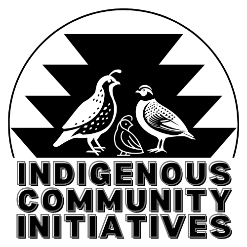 INDIGENOUS COMMUNITY INITIATVES