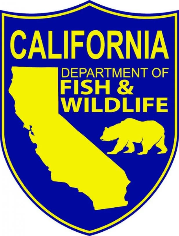 2018-12-07-182334.722723DFWlogo2-3797837579.jpg
