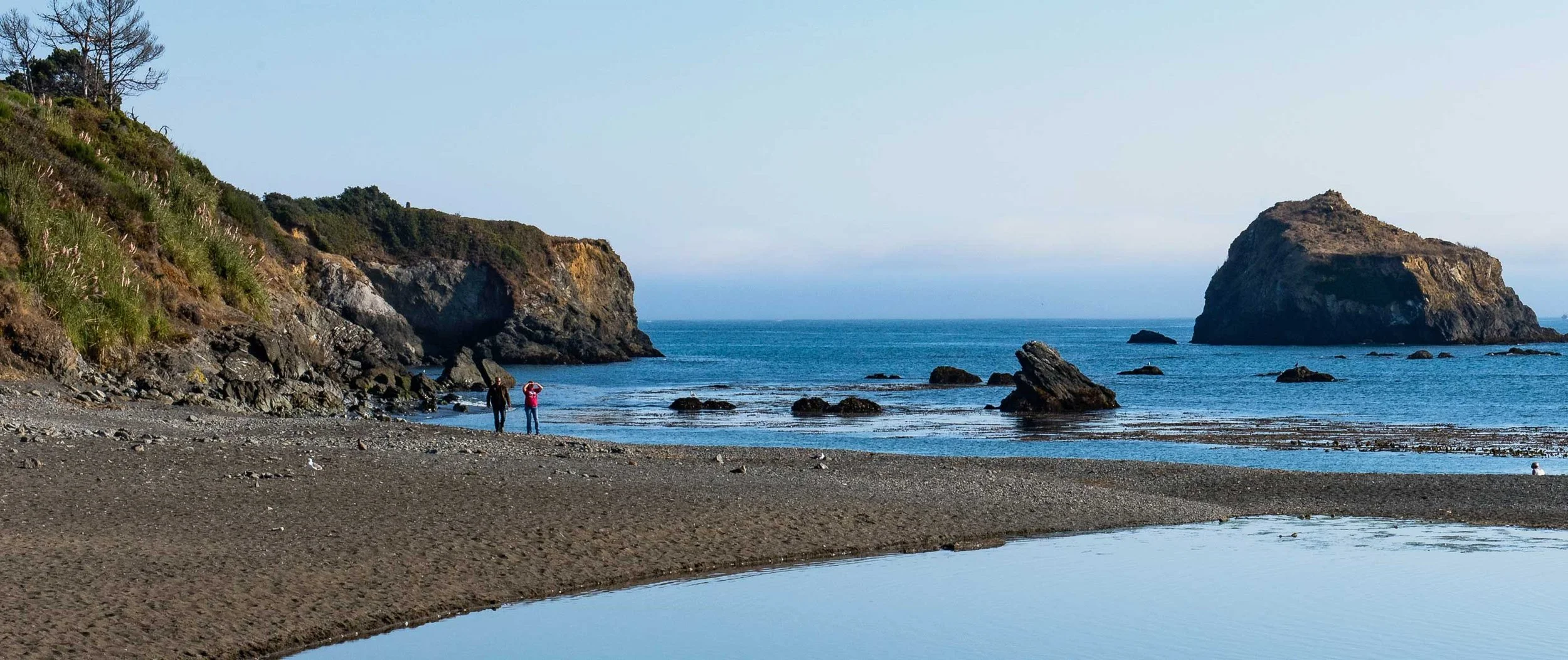Urchin Low Tide Walk &amp; Sunset Celebration
