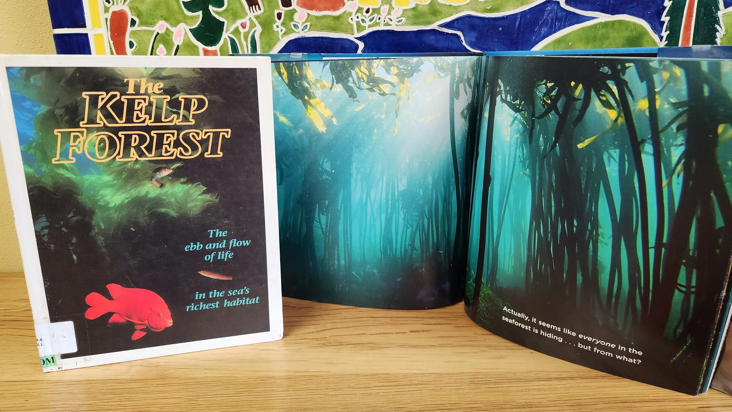 KelpFest! Storytime