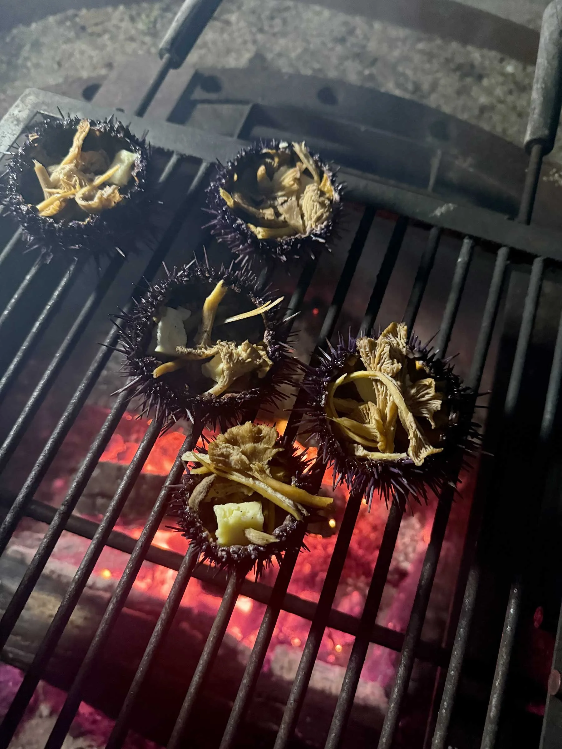 Urchin Low Tide Walk &amp; Cookout
