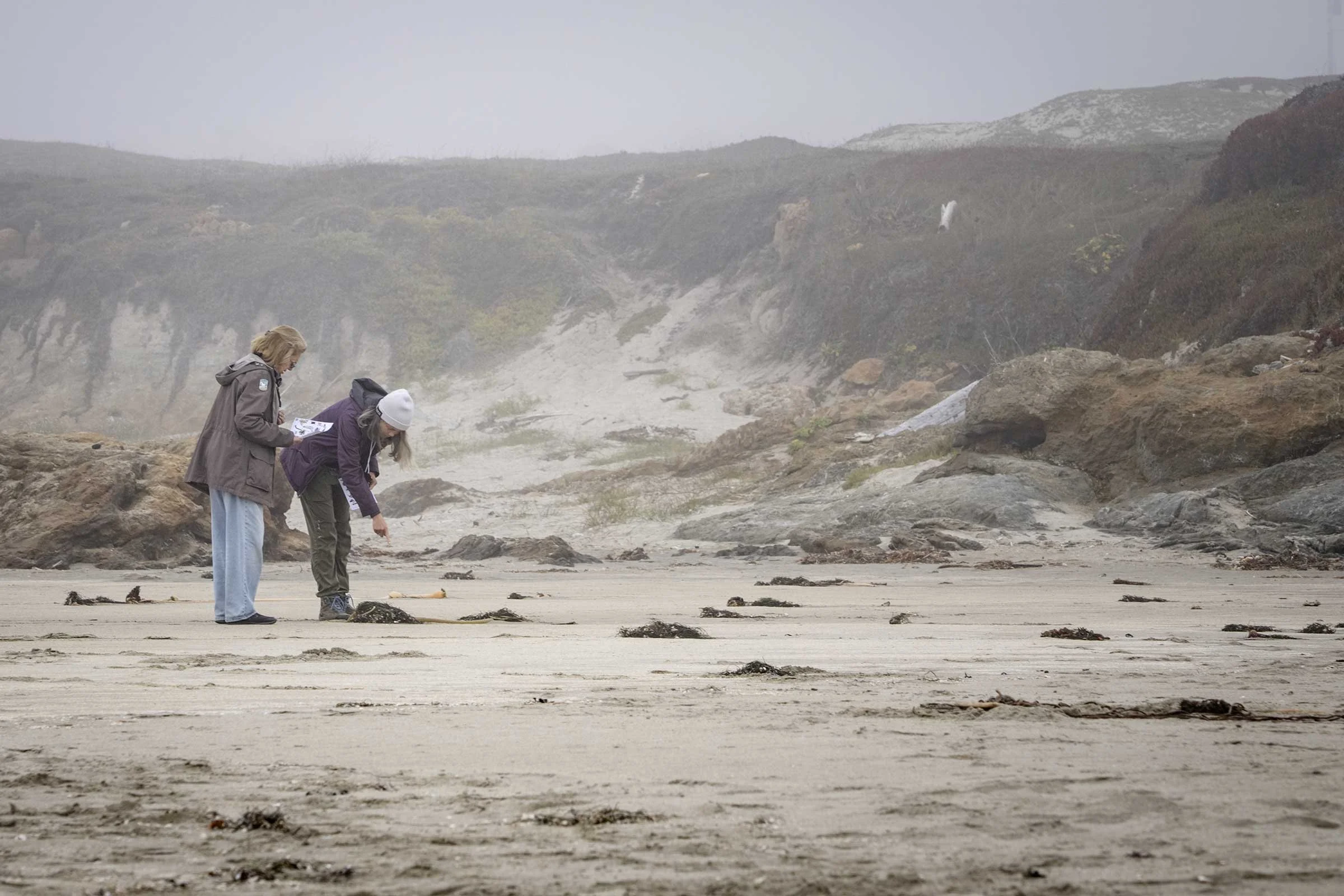 Kelp-Fest-Beach-Walk-Pizza-Party_Pat-Webster-13.jpg