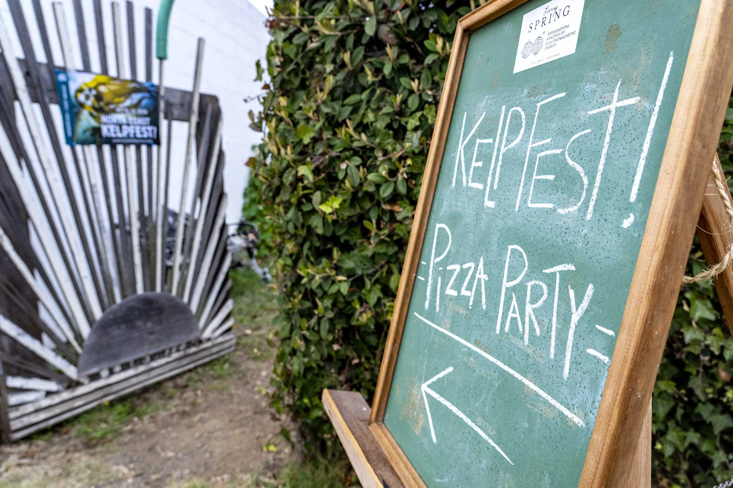 Kelp-Fest-Beach-Walk-Pizza-Party_Pat-Webster-83.jpg