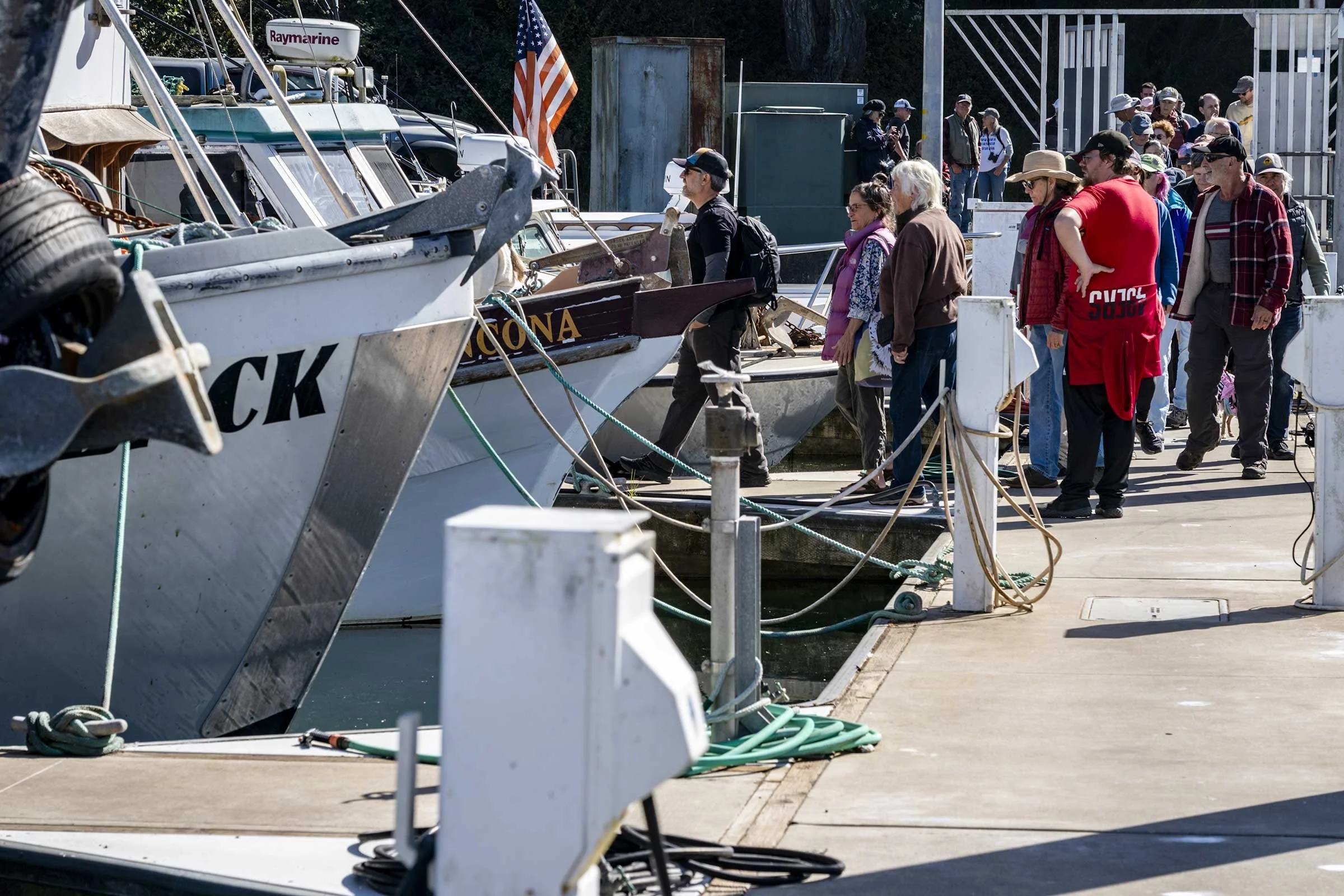 Harbor-Walk_Pat-Webster-15.jpg