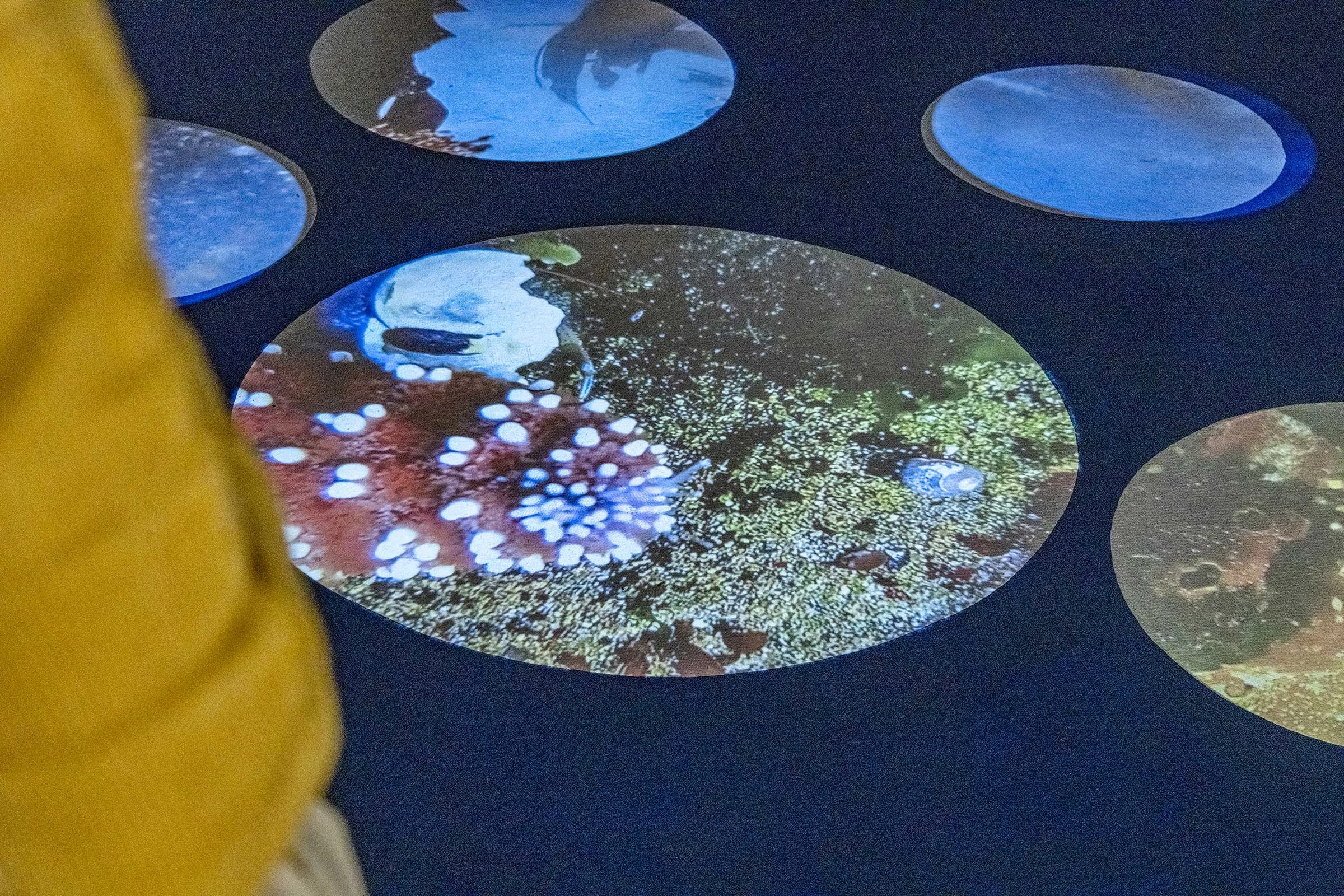 Gallery Exhibition & Tours