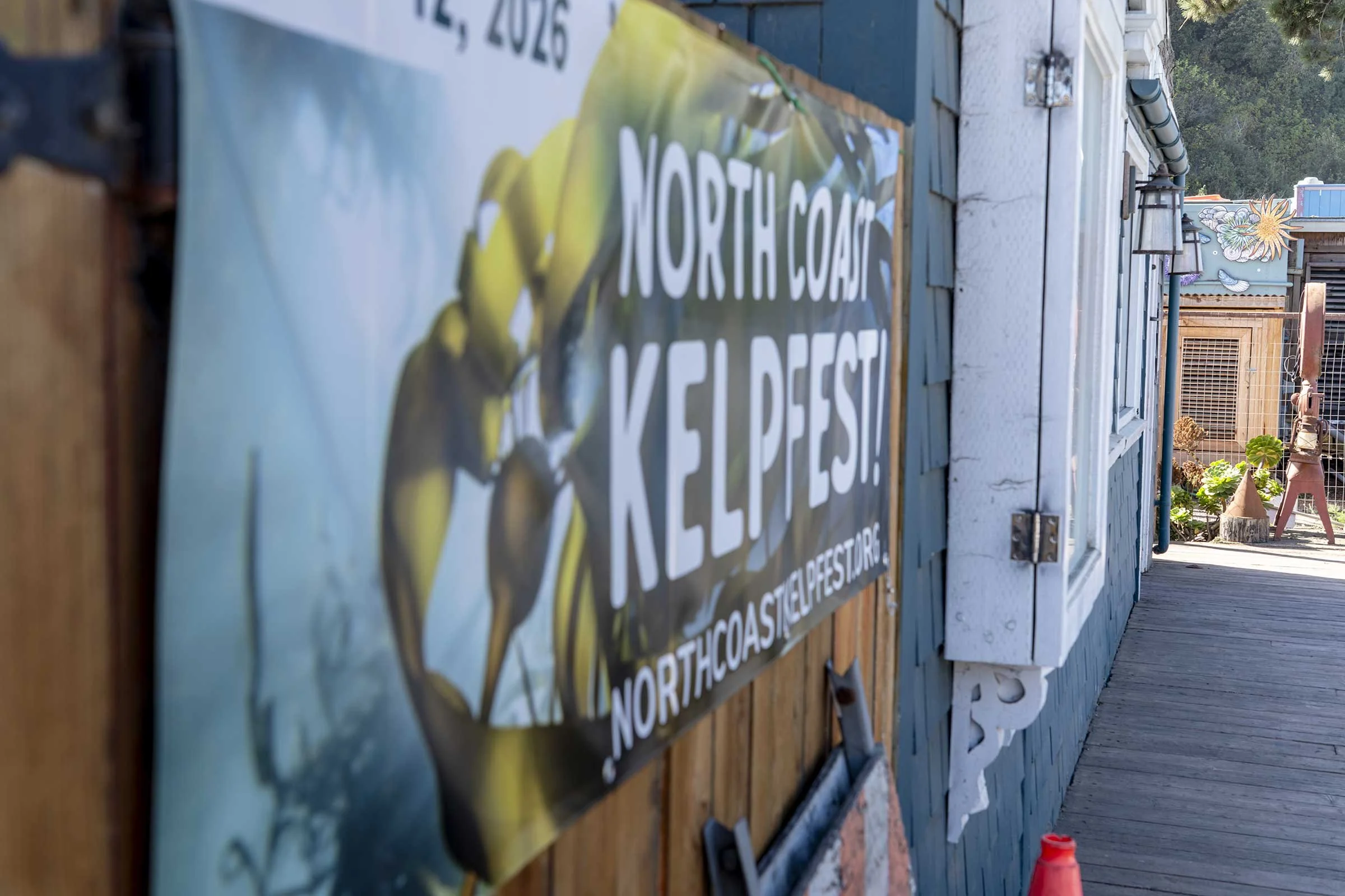 Noyo-Field-Station_Pat-Webster-13.jpg
