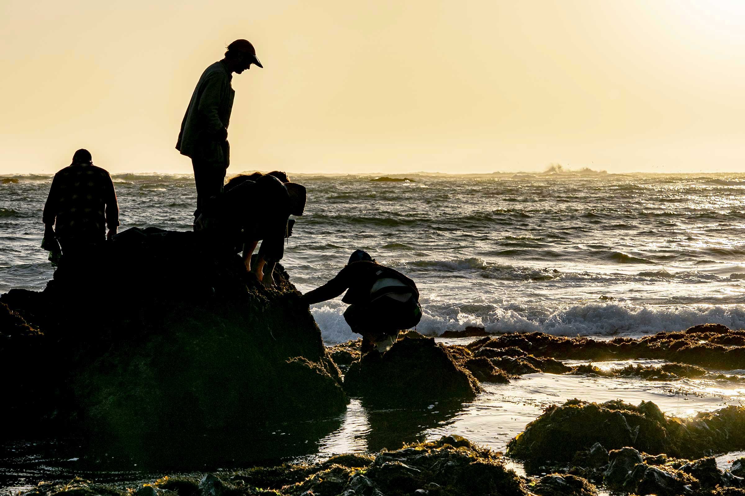 Beach-Sunset_Pat-Webster-27.jpg