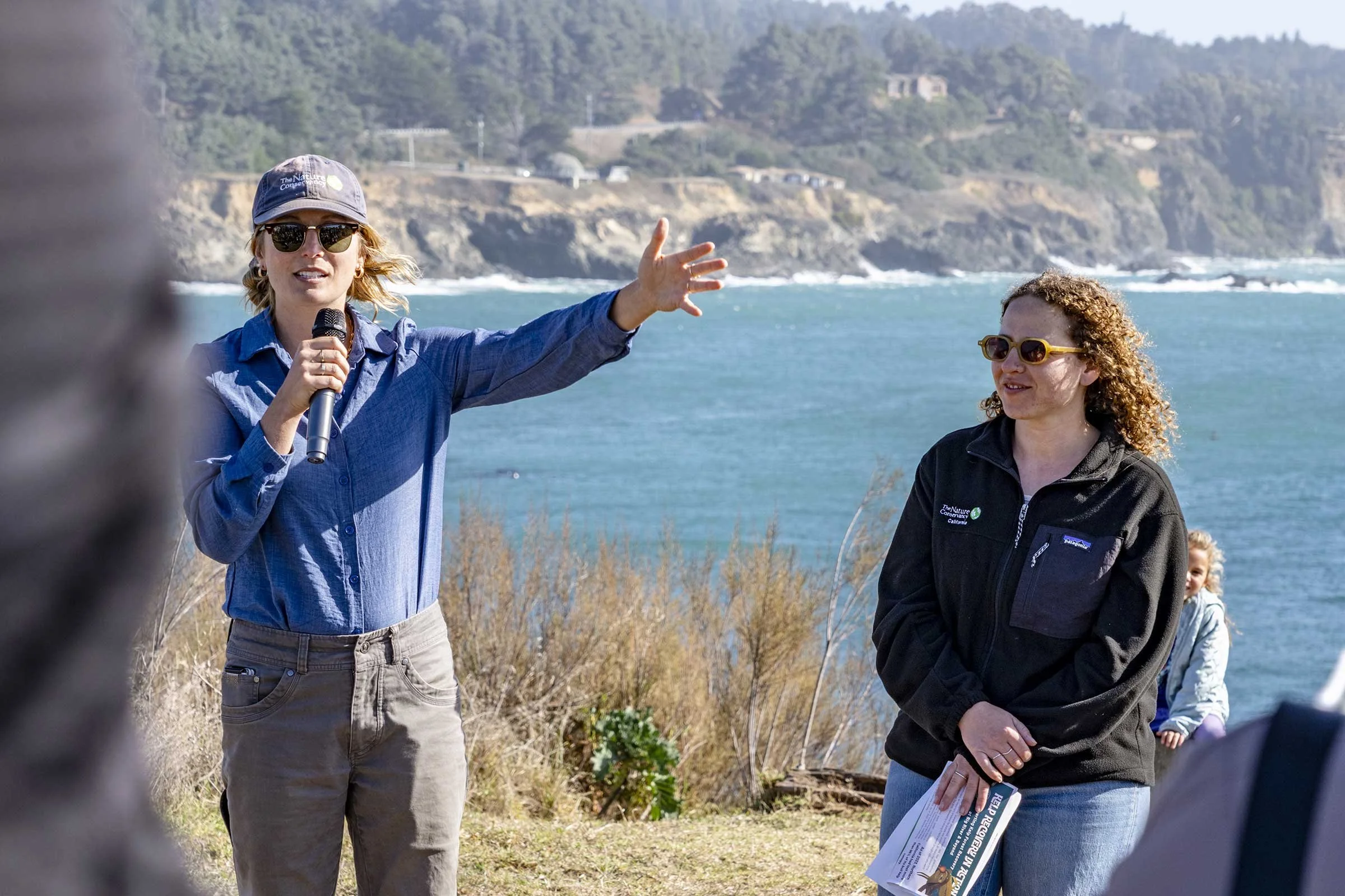 Kelp Recovery Demonstration