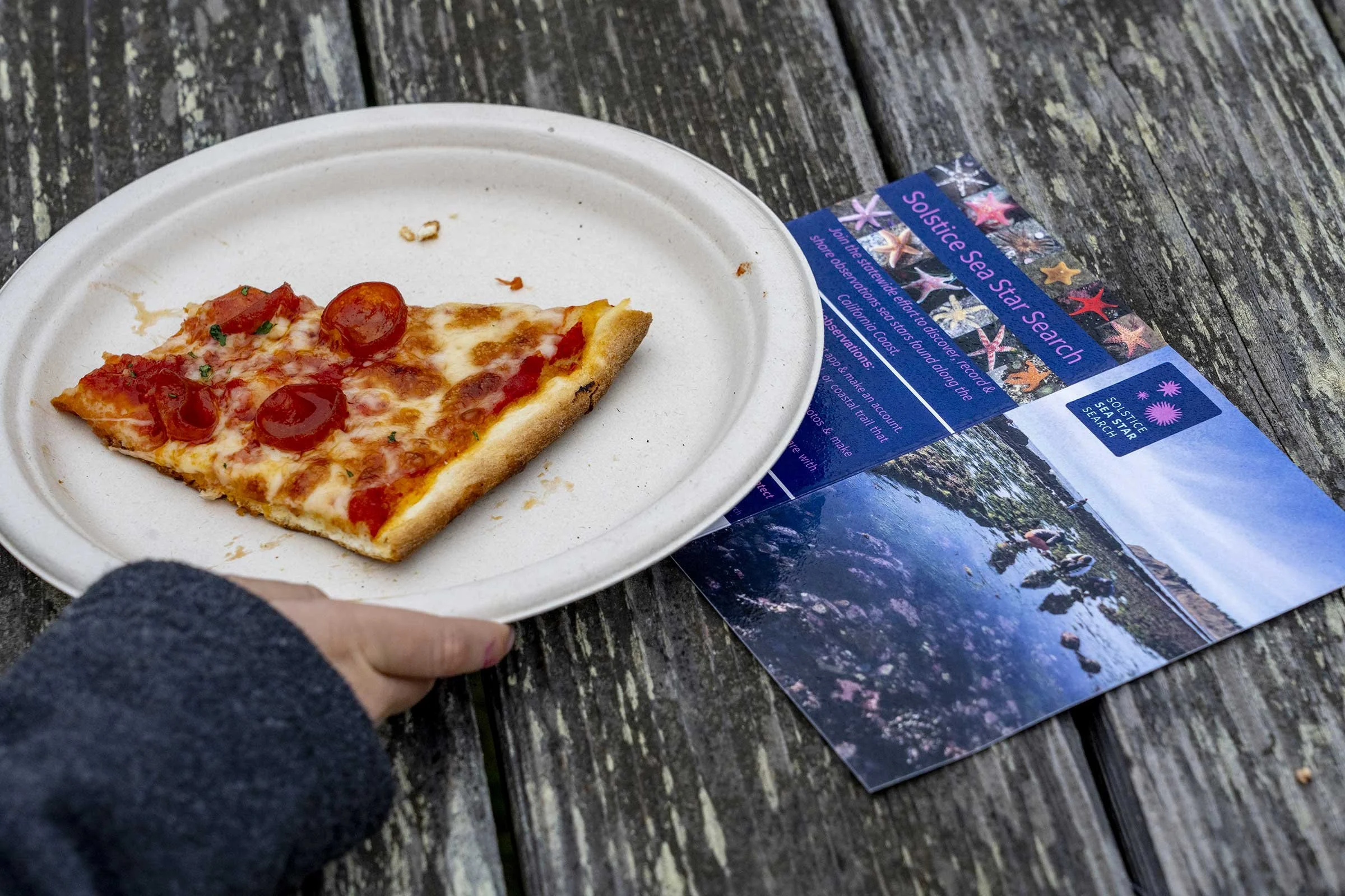 Kelp-Fest-Beach-Walk-Pizza-Party_Pat-Webster-91.jpg
