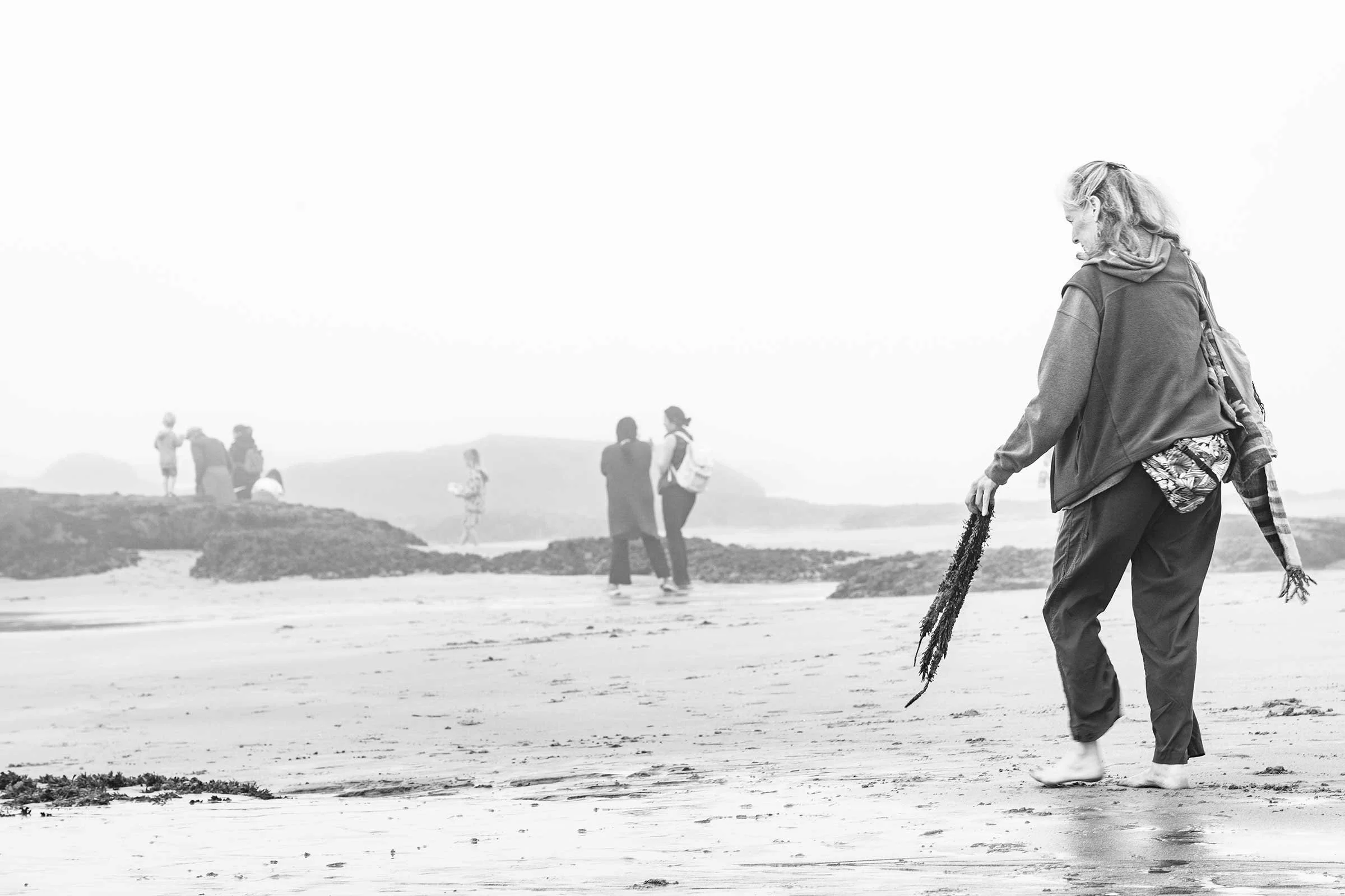 Kelp-Fest-Beach-Walk-Pizza-Party_Pat-Webster-20.jpg