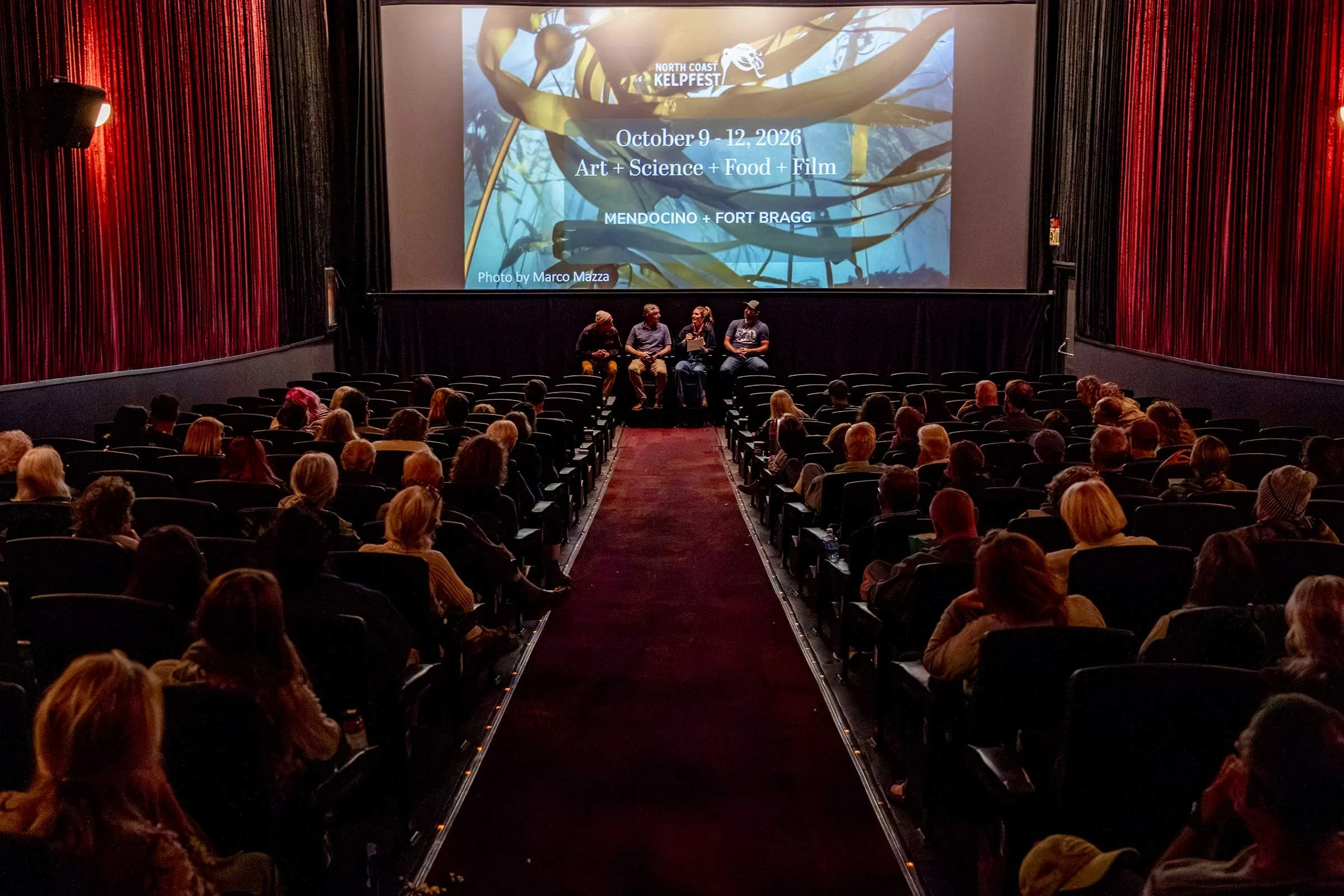 Short Films Screening