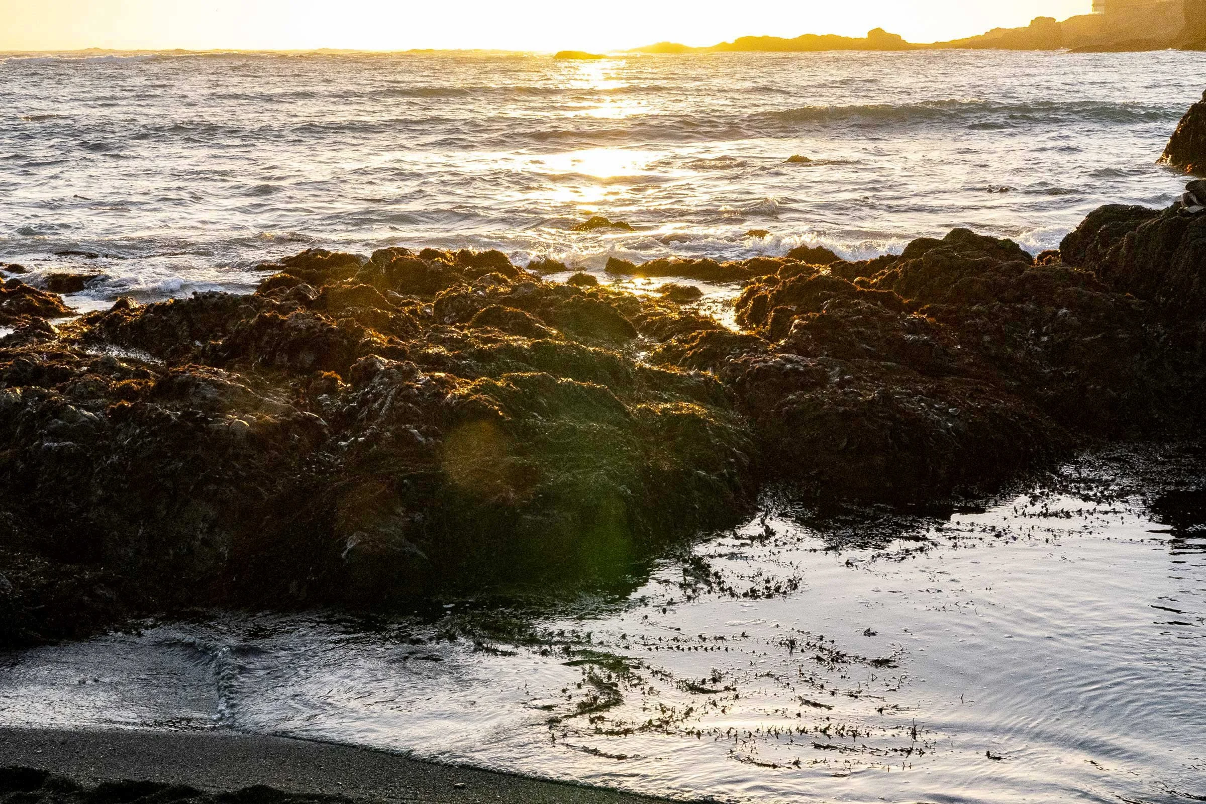 Beach-Sunset_Pat-Webster-67.jpg