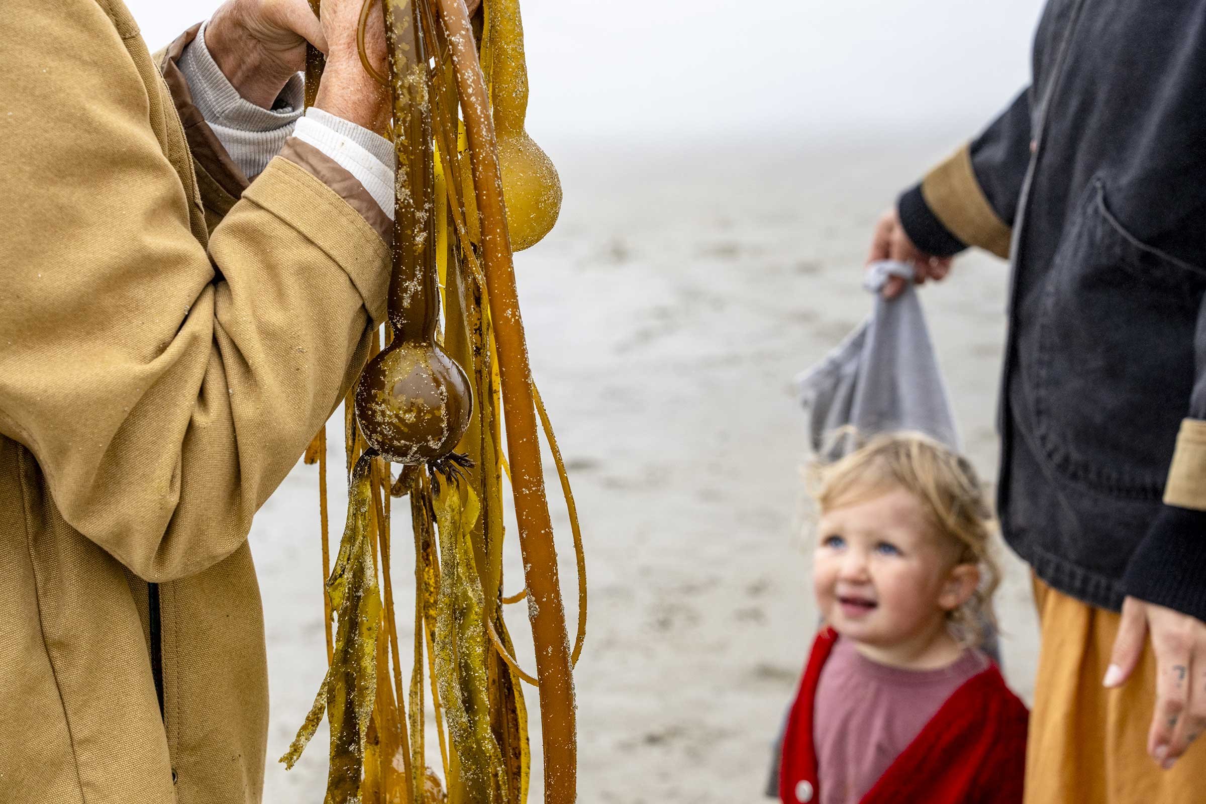 Kelp-Fest-Beach-Walk-Pizza-Party_Pat-Webster-69.jpg