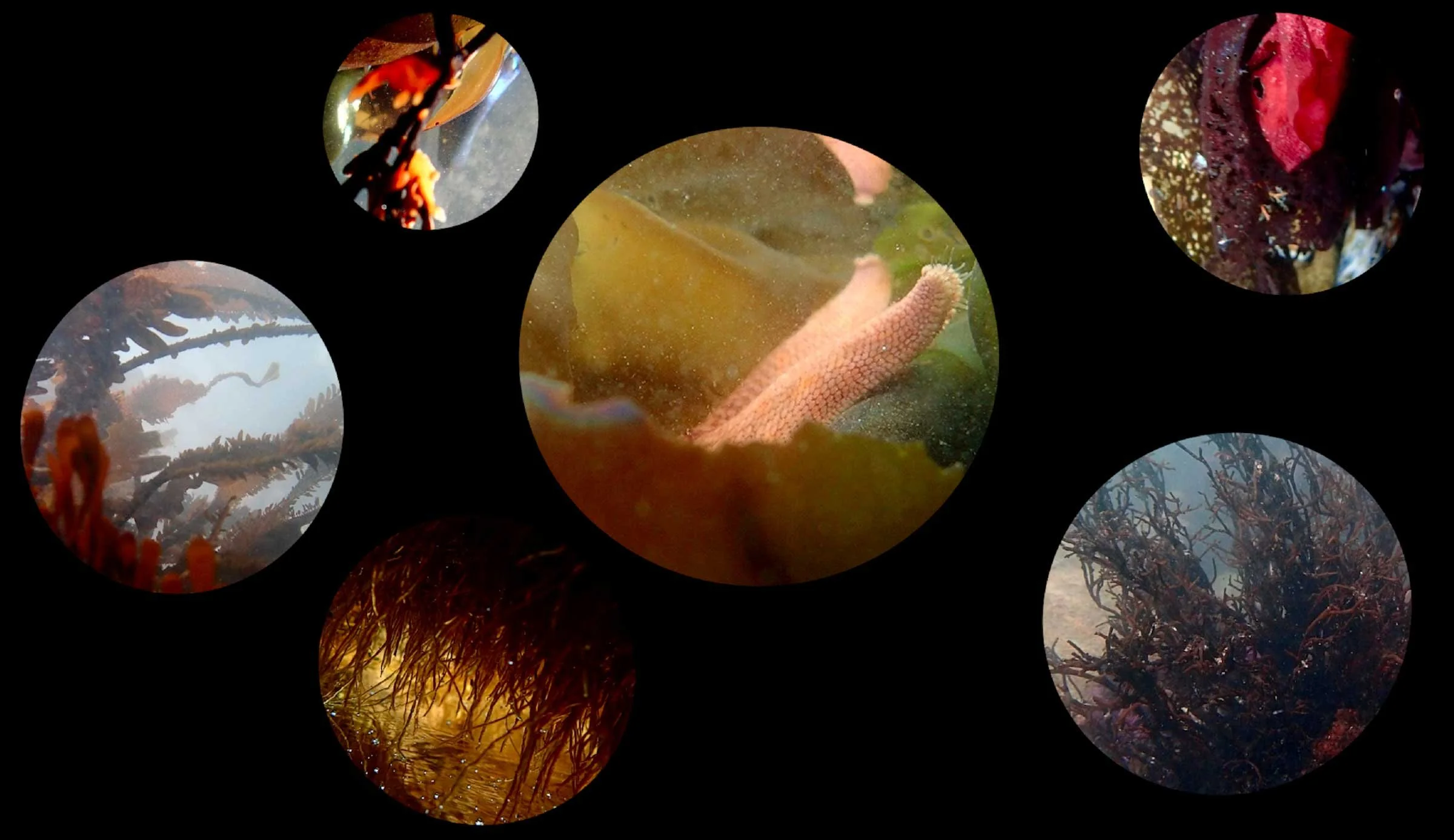Gallery Exhibition &amp; Tours