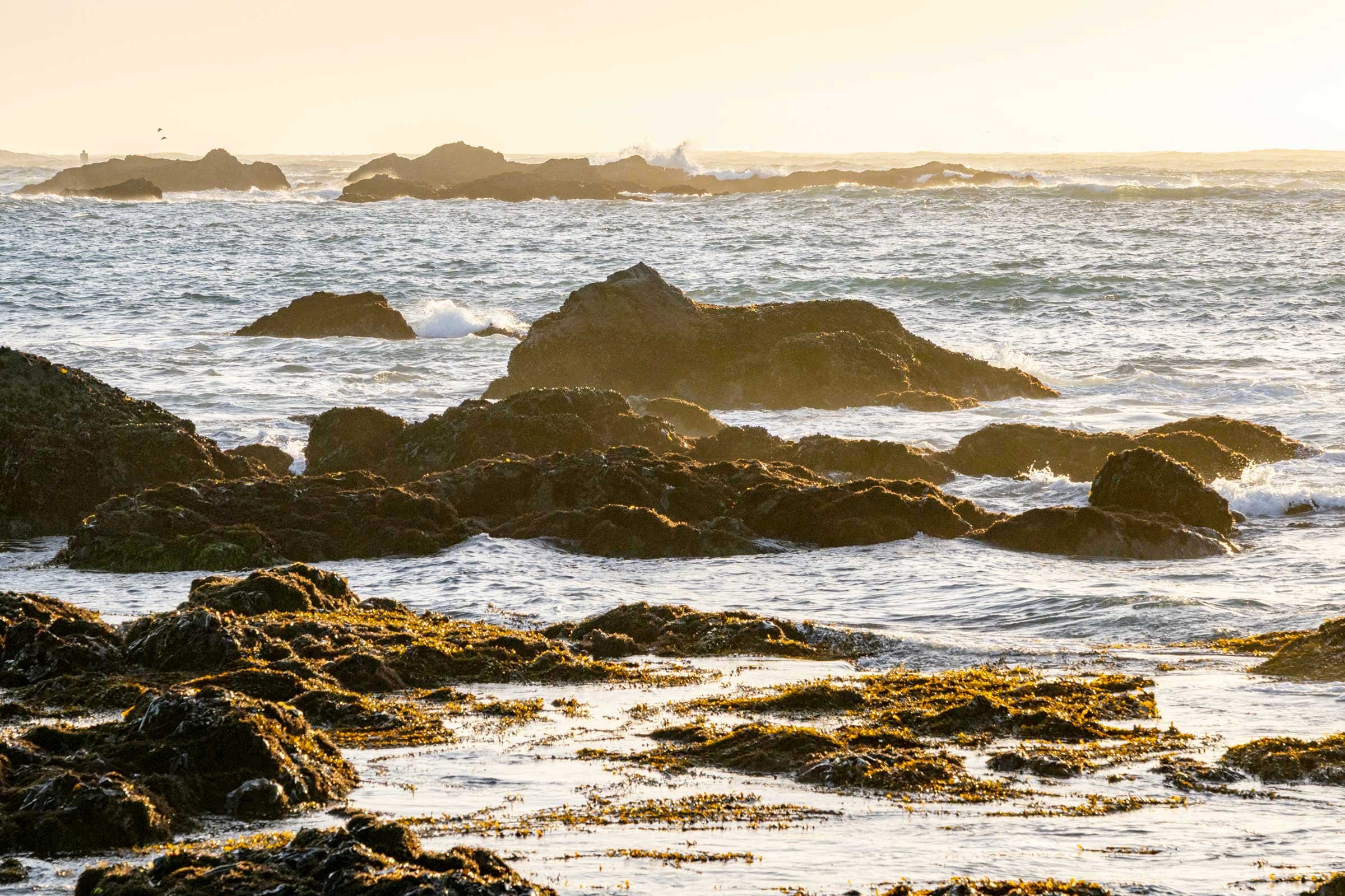 Beach-Sunset_Pat-Webster-49.jpg