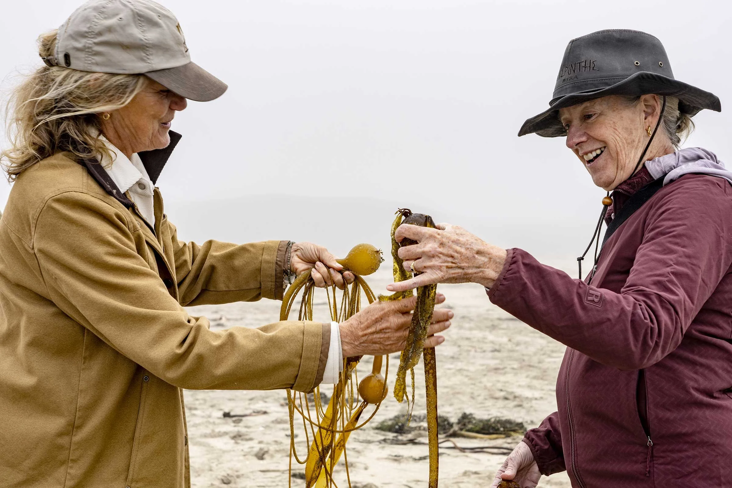 Kelp-Fest-Beach-Walk-Pizza-Party_Pat-Webster-12.jpg