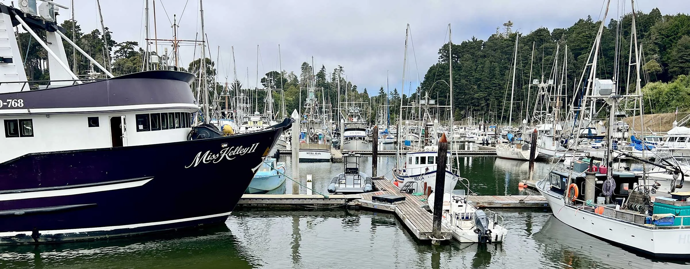 Dock Walk &amp; Picnic