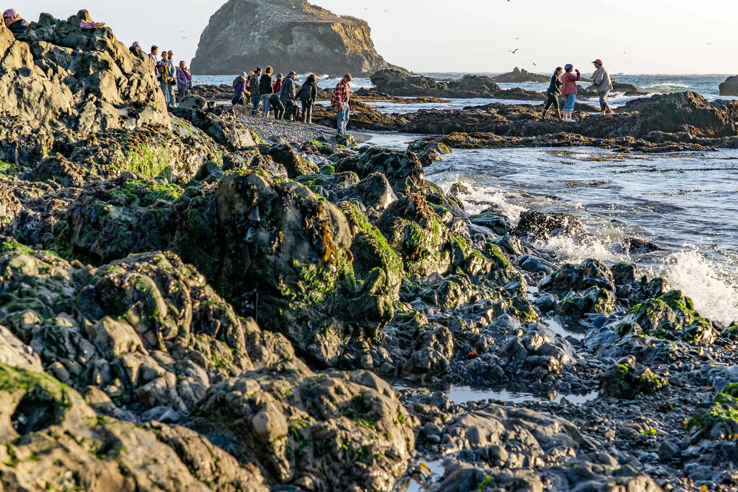 Beach-Sunset_Pat-Webster-23.jpg