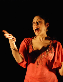 PALESTINE by Najla Saïd
directed by Sturgis Warner
Produced in association w/ New York Theatre Workshop