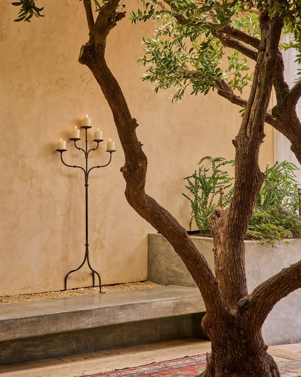 The Tasting Kitchen_M Winter_Kort Havens_0072_V1.jpg