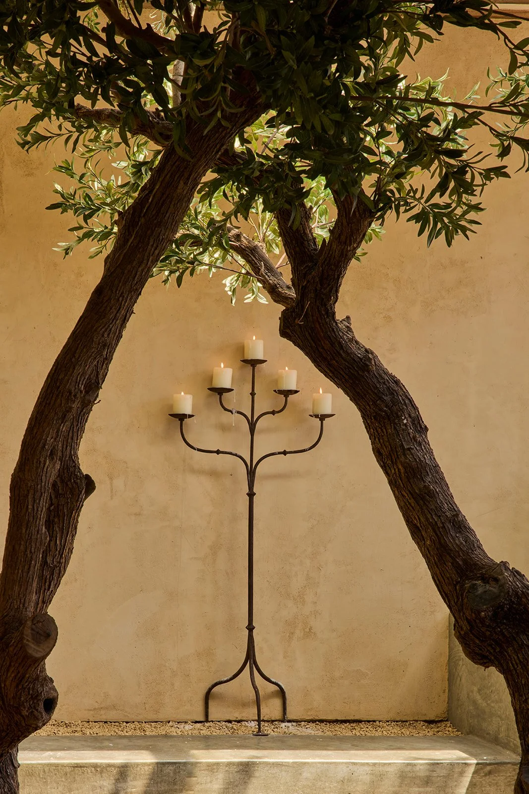 The Tasting Kitchen_M Winter_Kort Havens_0161.jpg