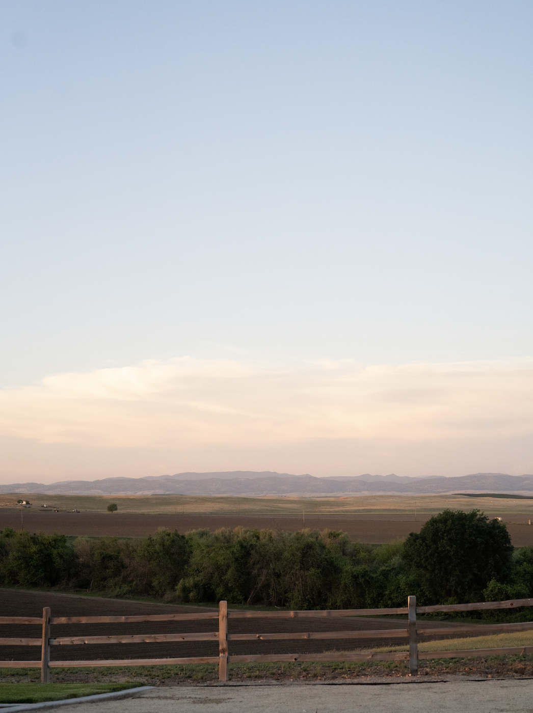 Screen Shot 2024-02-07 at 4.00.17 PM.png