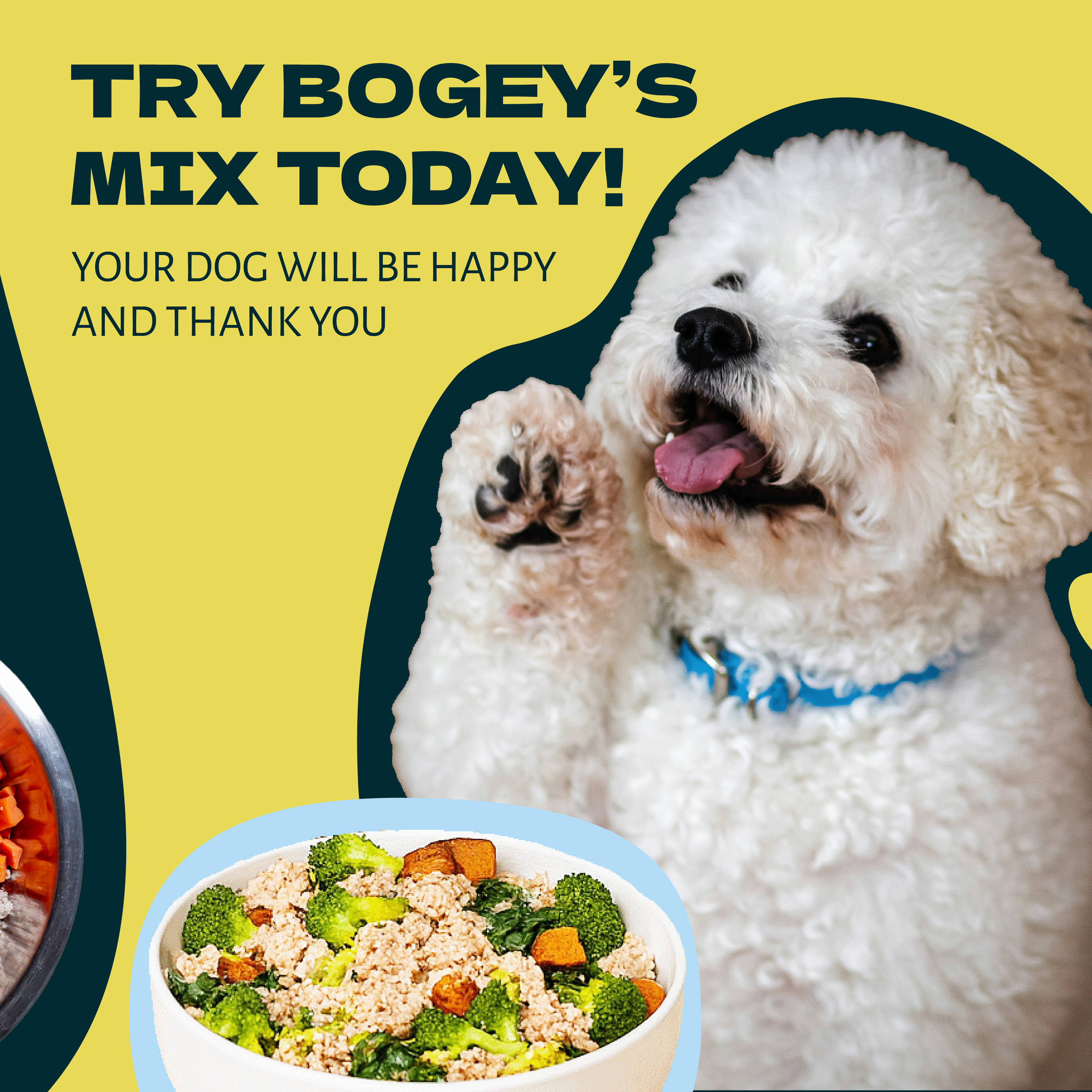 Bogey'sMix_VS_Competition-05.png