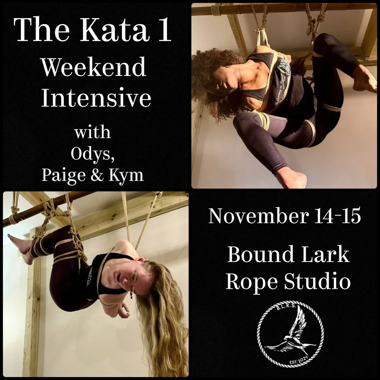 Kata 1 with Odys, Paige and Kym 