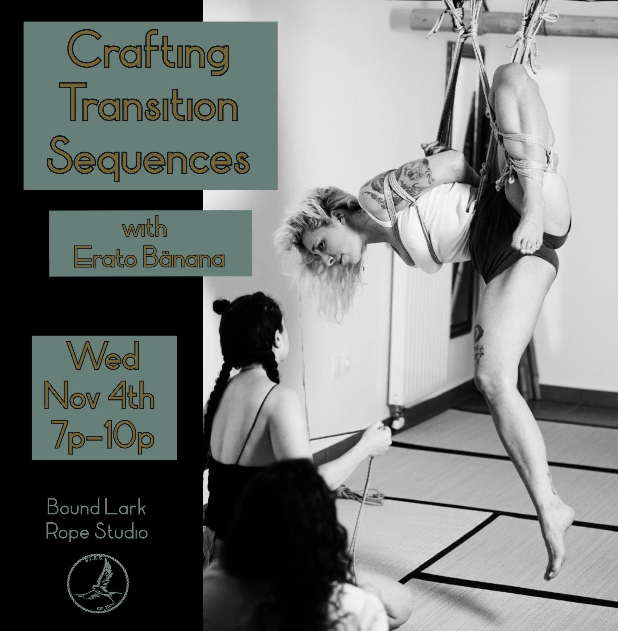 Crafting Transition Sequences