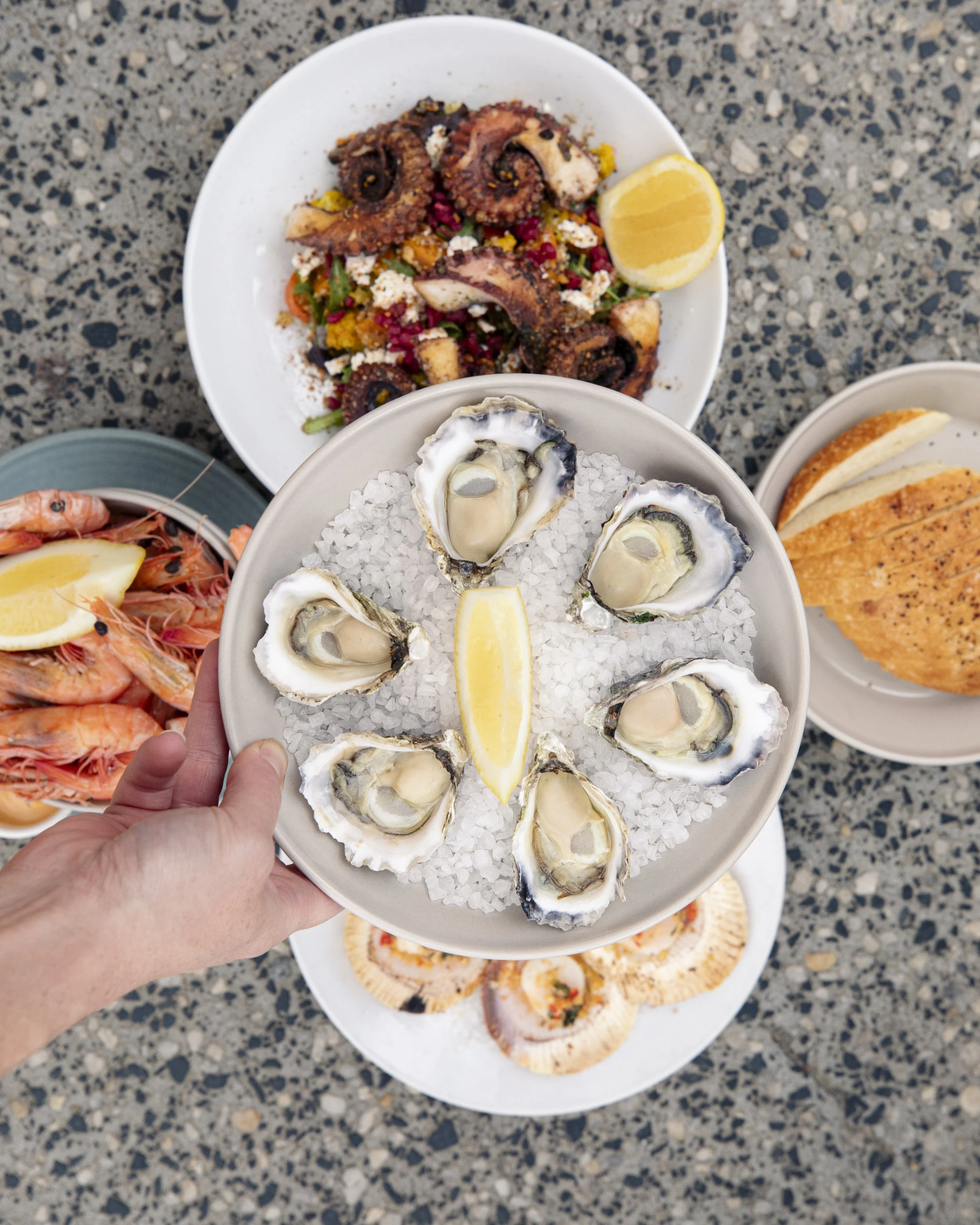 A hand holds a plate of raw oysters on ice with lemon wedges, surrounded by various seafood dishes including shrimp, squid cauliflower salad, and grilled fish, on a table