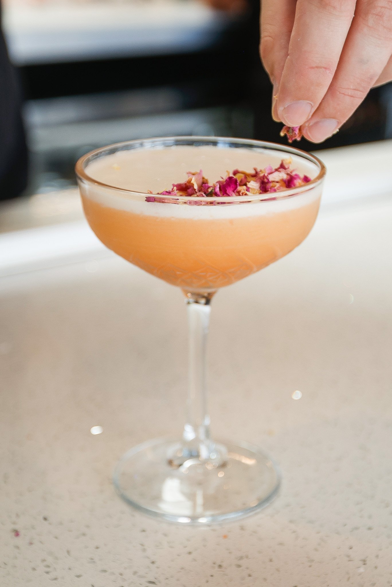 A pink cocktail in a coupe glass garnished with dried rose petals, being sprinkled from a hand.